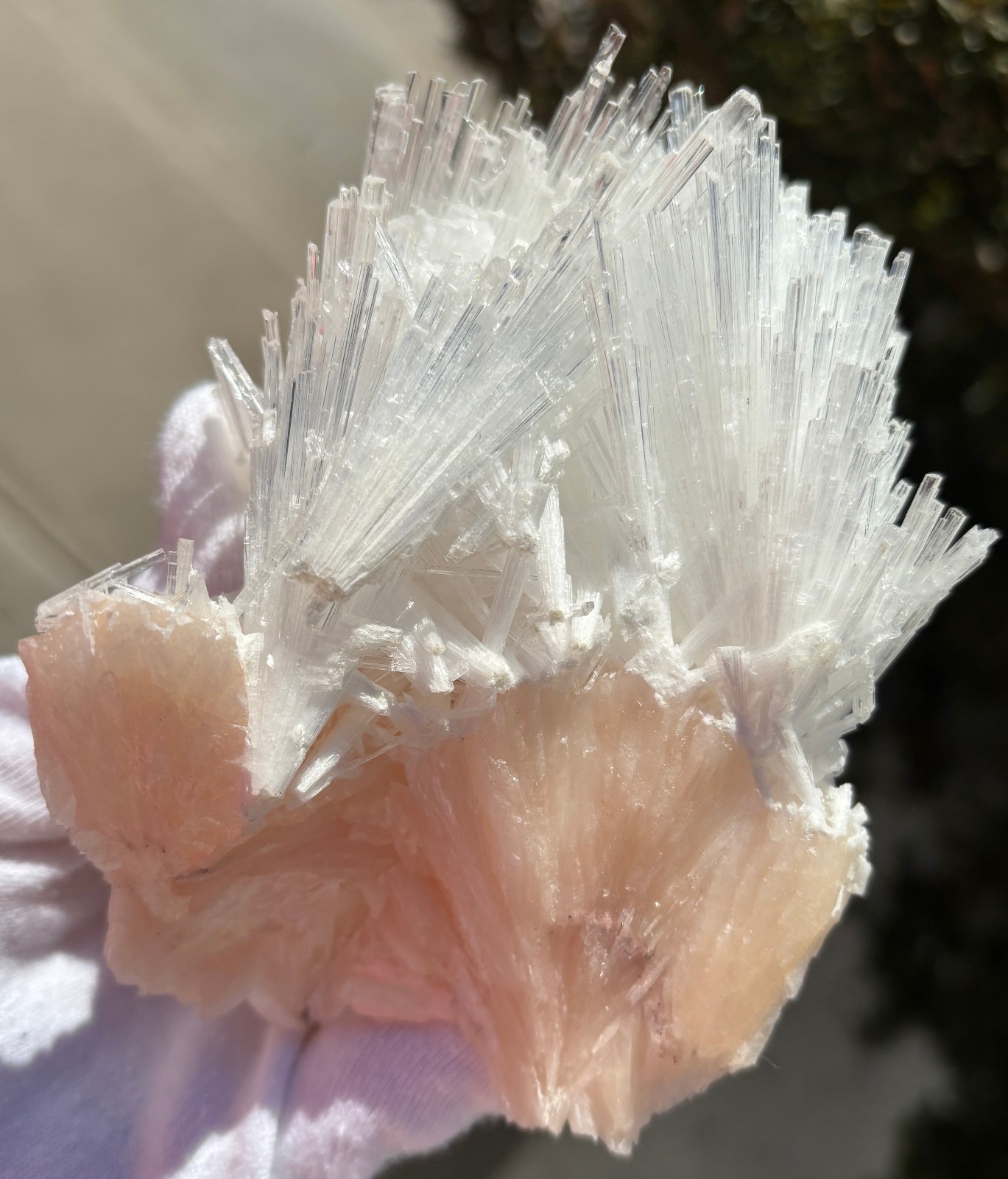 USA SALE 262g 4.3″ x 3.3″ LARGE SCOLECITE STILBITE SPECIMEN Fan/Blades/Spray