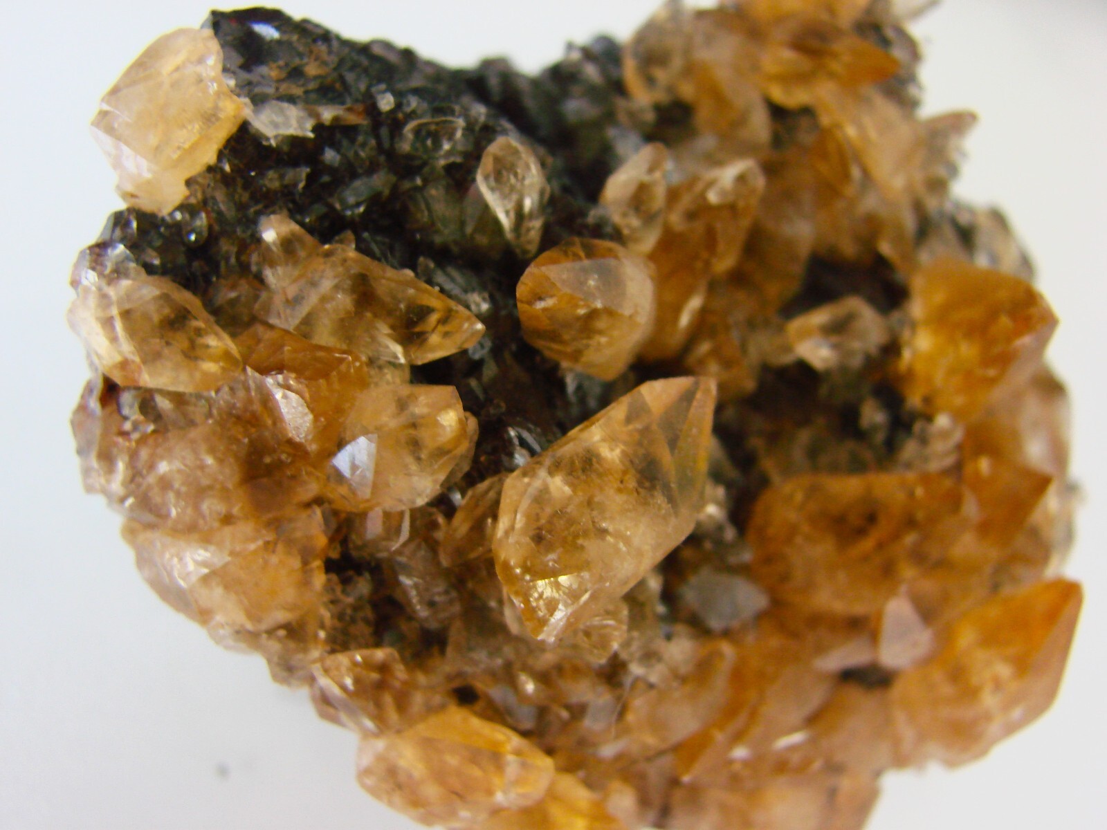 GOLDEN CALCITE ON SPHALERITE, Cumberland Mine, Carthage, Tennessee USA