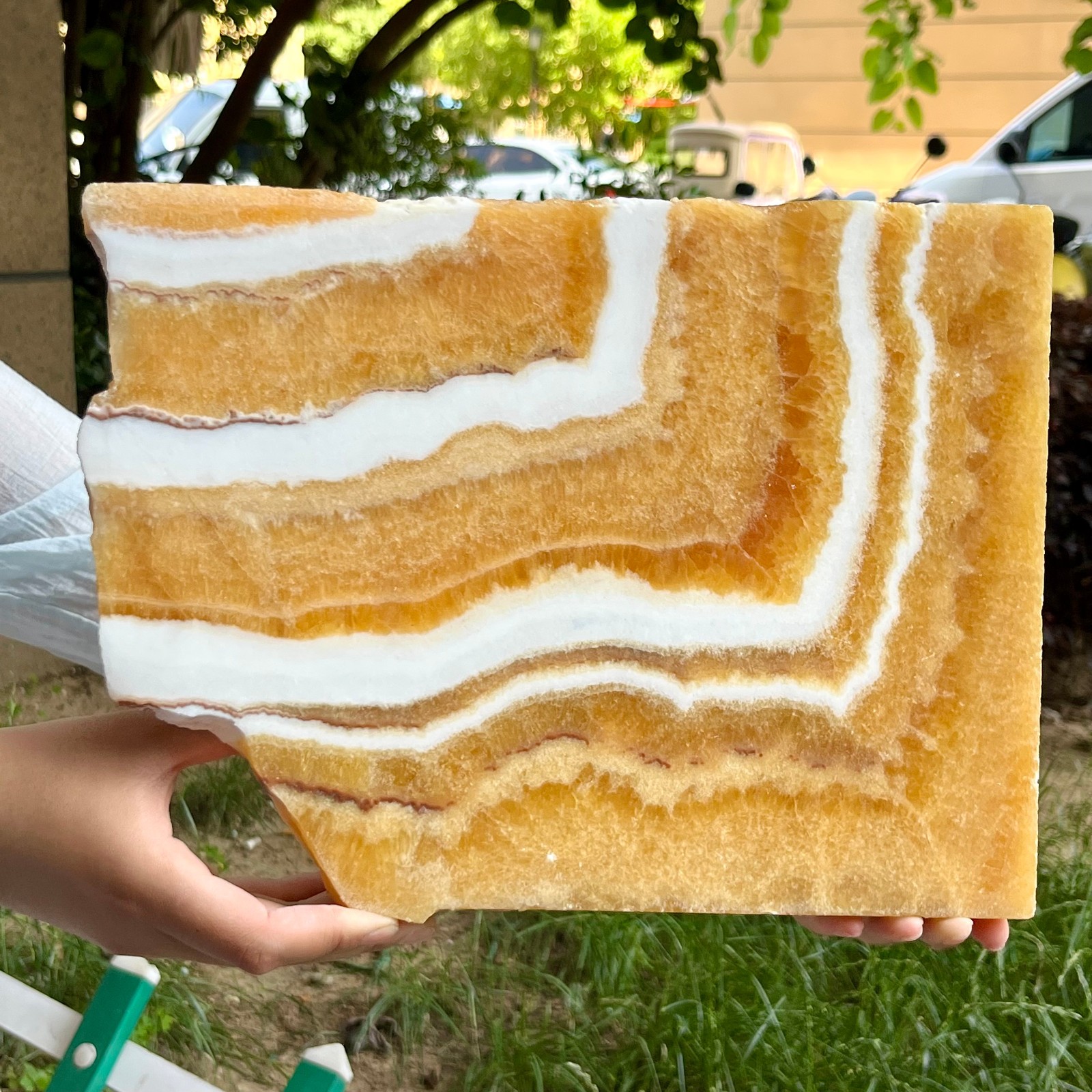 6.2 lb Authentic Yellow Calcite Polished Both Sides Crystal Slice Display