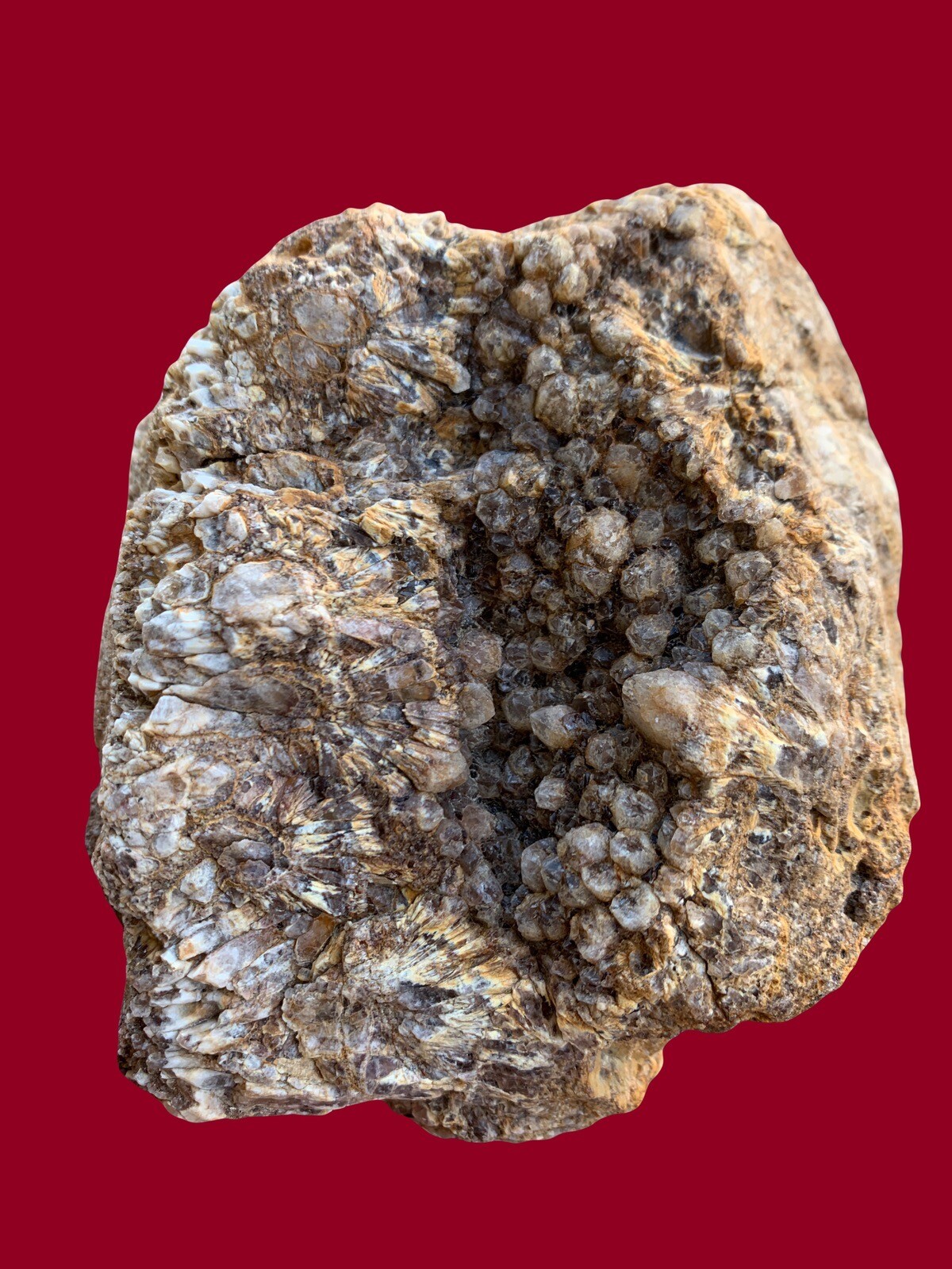 Quartz Crystal Specimen. Rocks Crystals Gemstones Minerals