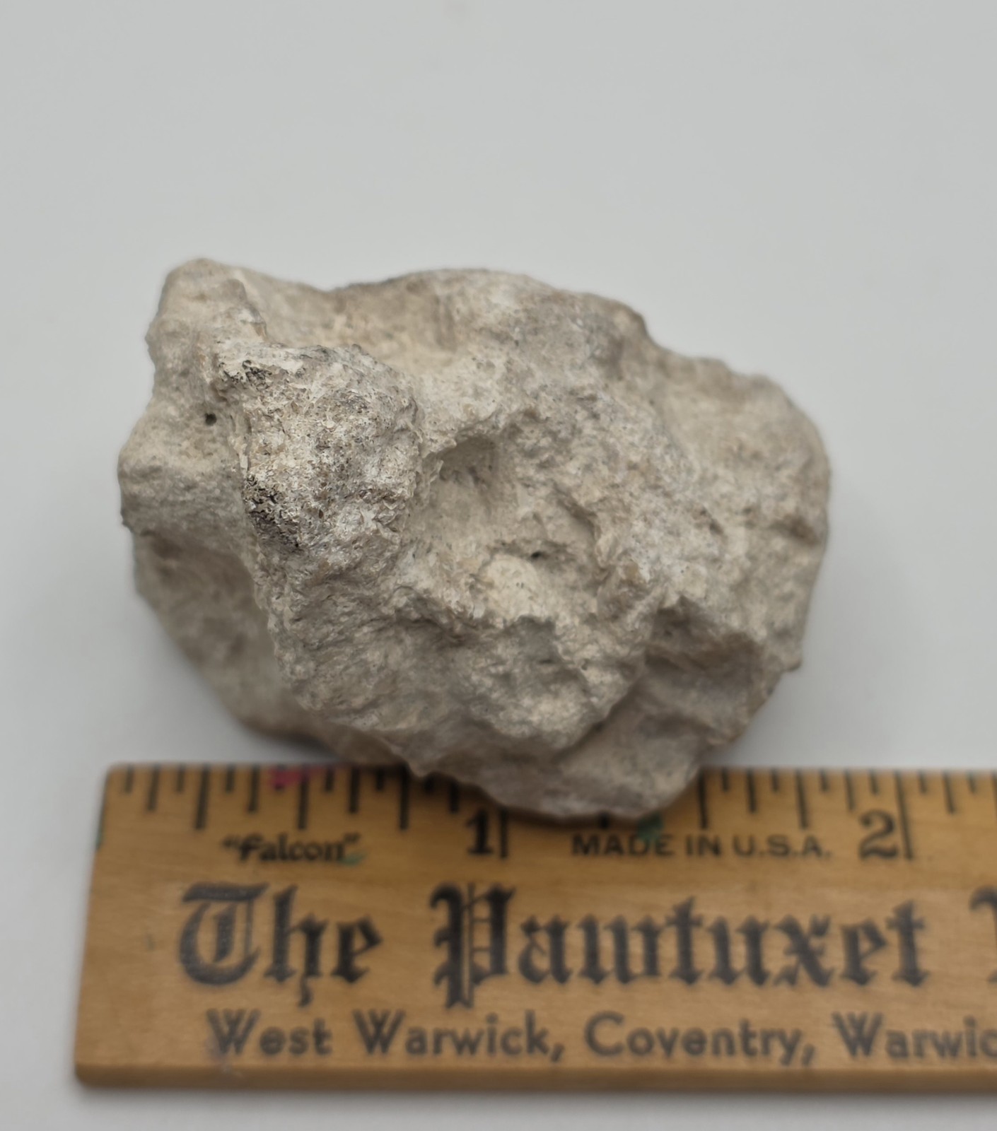 Rocks And Minerals: Shell Fossil 56 Grams