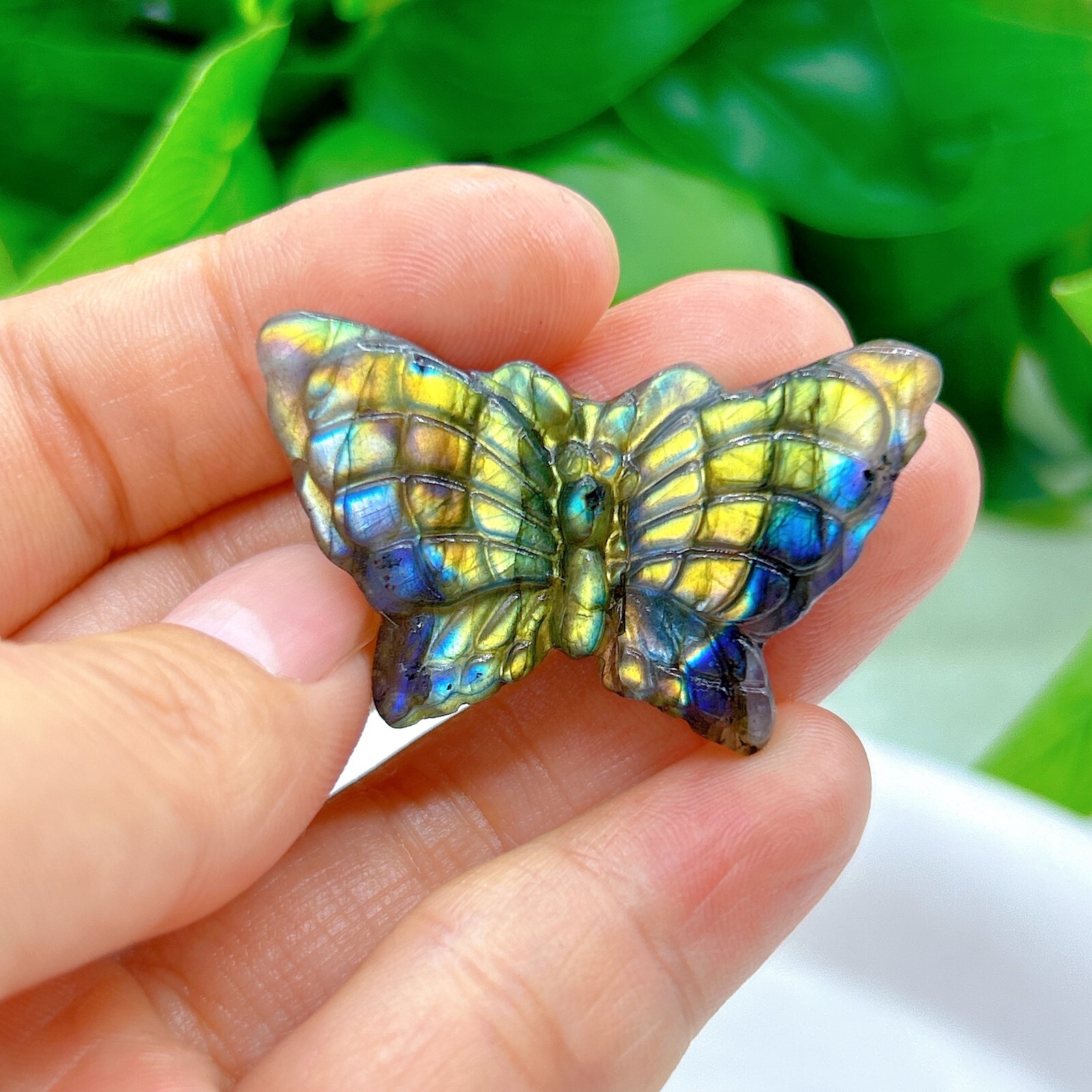 Natural labradorite Butterfly Hand Carved crystal Healing