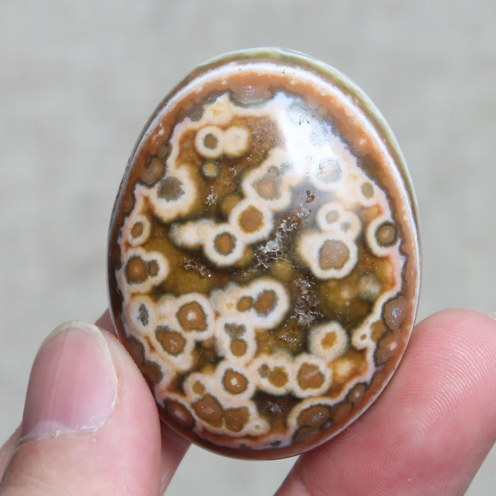 B7712-56g Amazing Natural Polished OCEAN JASPER Furnishing Freeform Healing