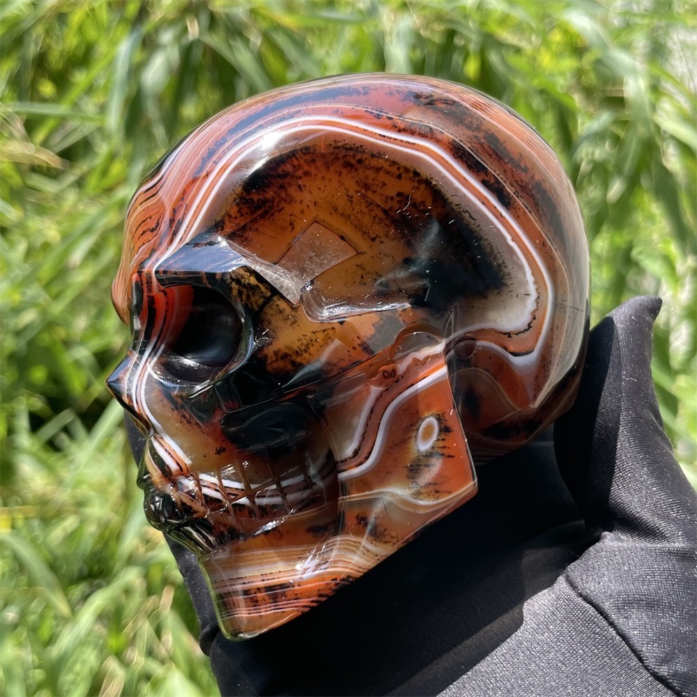 1.7LB 3.7″ A++Flower Sardonyx Agate Skull Crystal Quartz Mineral Decor Carved
