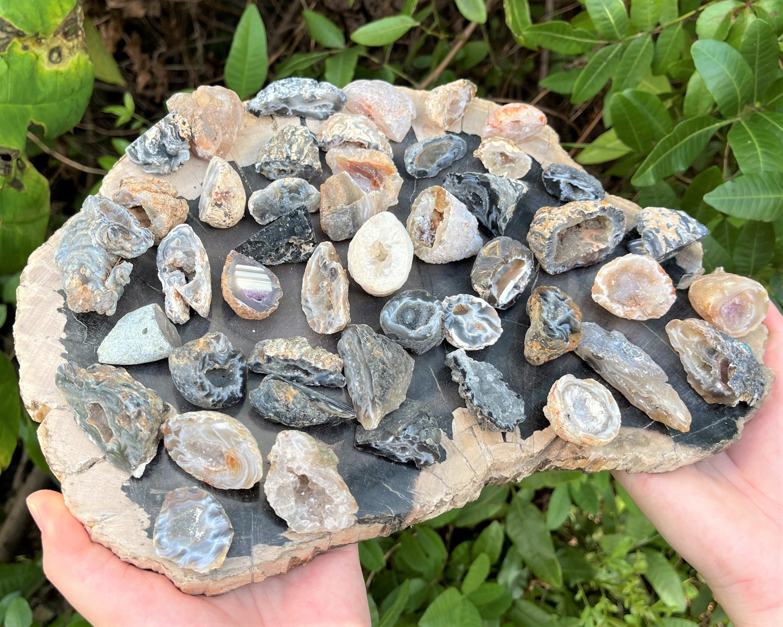 Oco Agate Geodes 1/2 lb Box Lot – ‘B’ Grade Natural Crystal Agate Druzy Halves