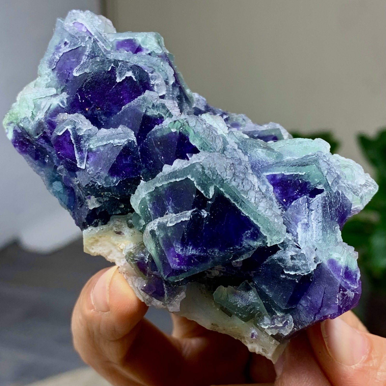 294G Rare transparent purple octahedron fluorite mineral crystal sample/China