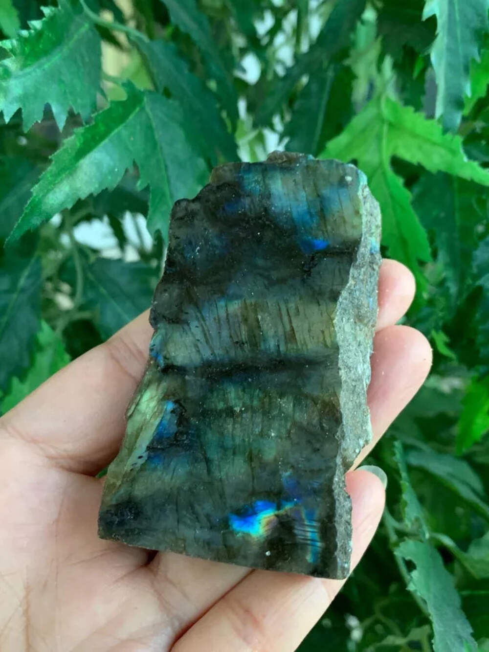 Natural Labradorite Slab, 1.25″ – 5″ High Flash Raw Labradorite, Pick a Size
