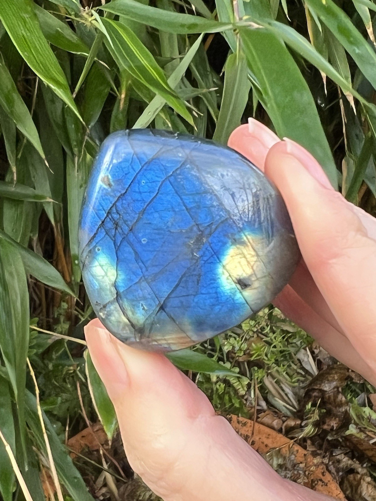 Deep Blue Labradorite Freeform Iridescent Crystal AAA+ 7