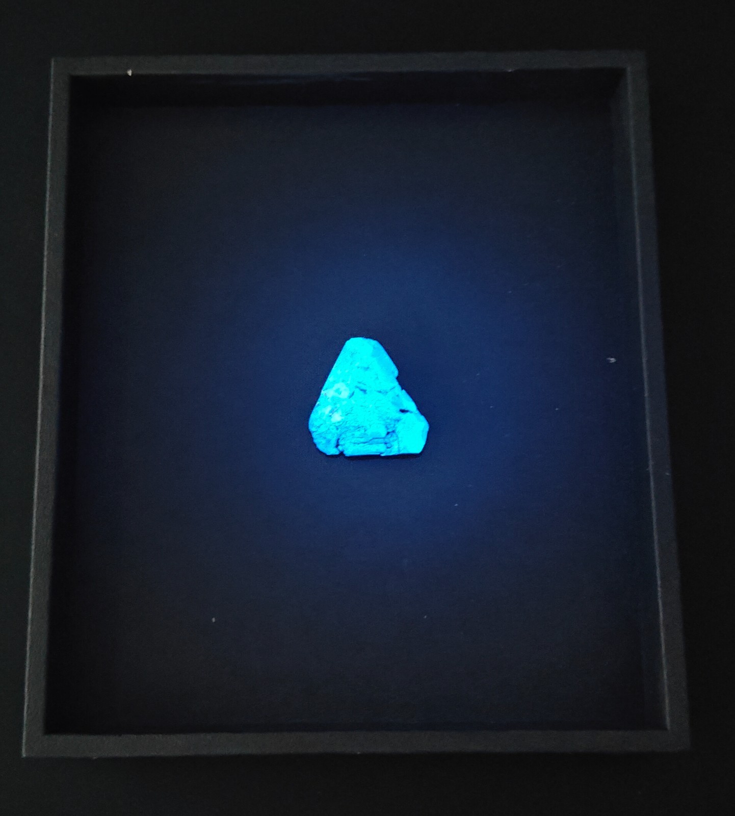 BENITOITE CRYSTAL TRIANGLE SPECIMEN ” GIANT ” Gems Gemstones Rare