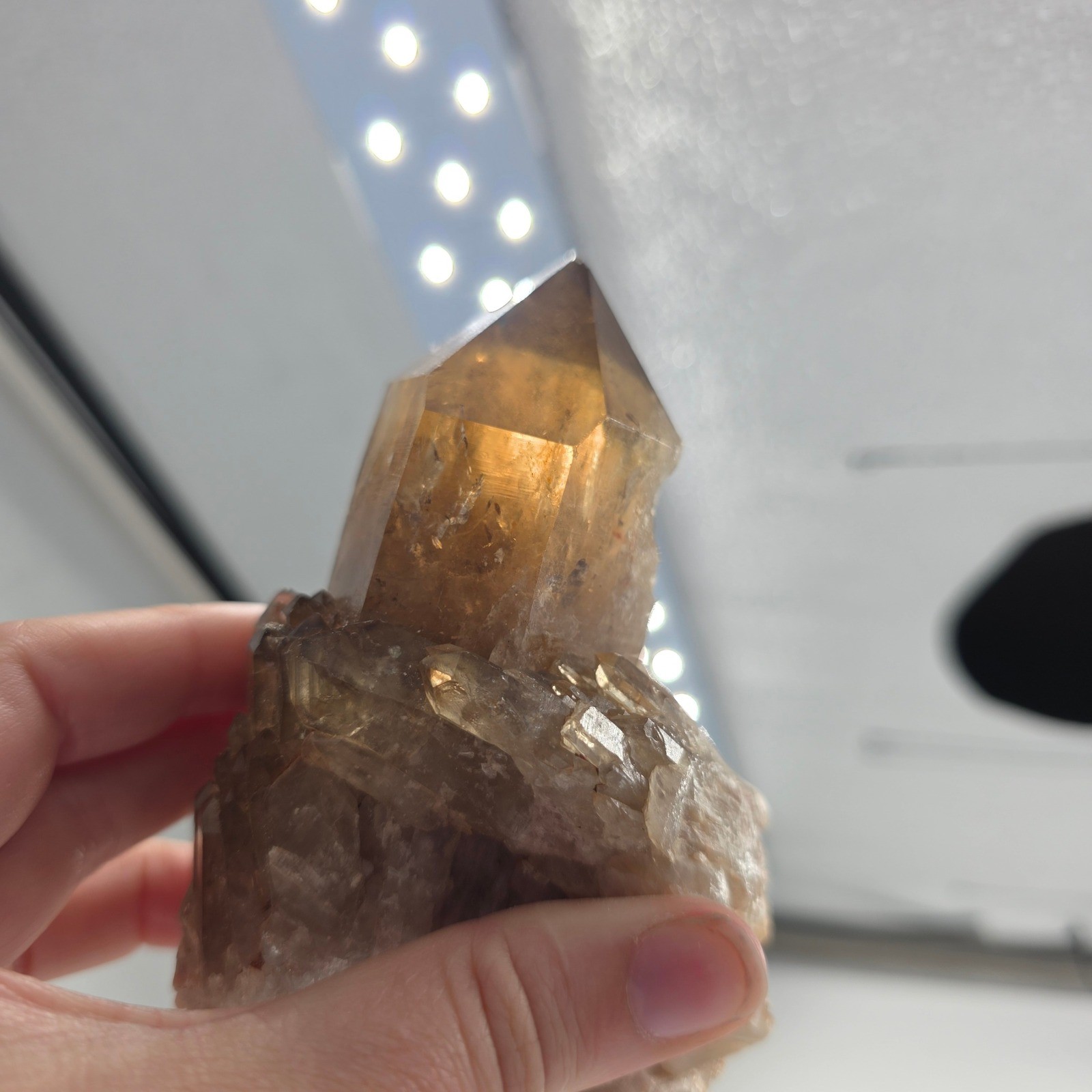 Natural Smoky Quartz Crystal Cluster Point Specimen Brown Translucent 1lb 4.25in