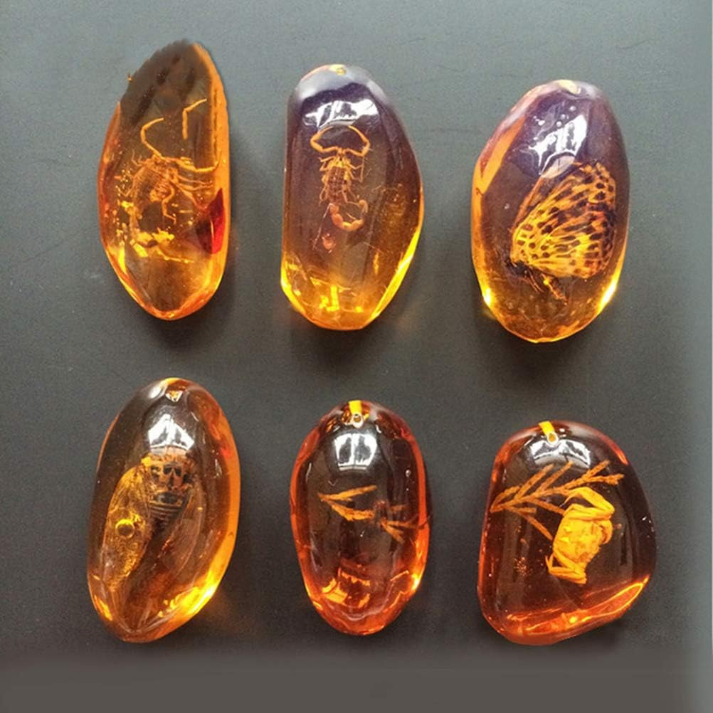 5Pcs Amber Fossil with Insects Samples Stones Crystal Specimens Home Decorations