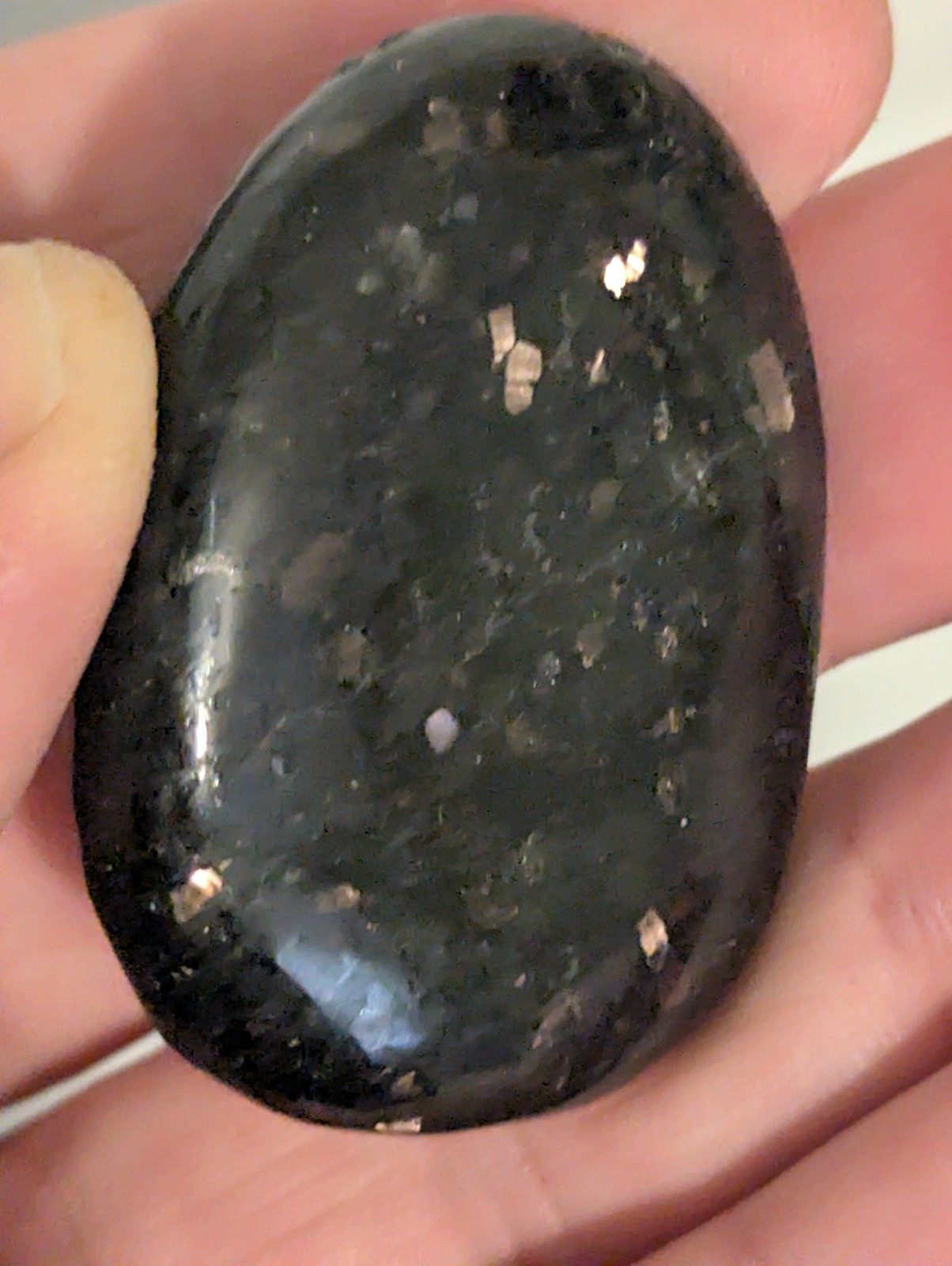 Flat Round Ovular sparkling Palm Stone