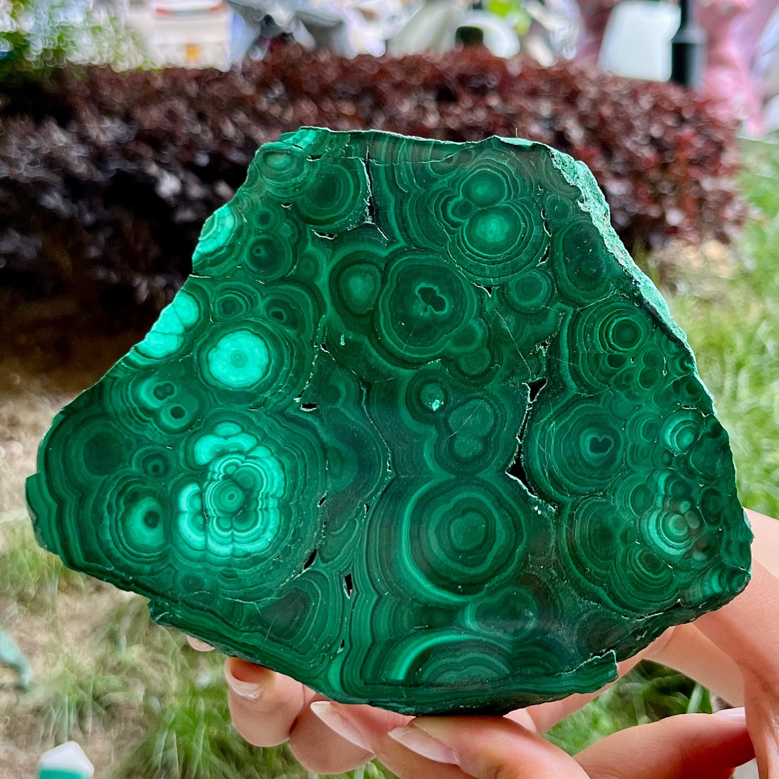 562 g Semi-Polished Malachite Freeform Slab One Side Polished Mineral Specimen