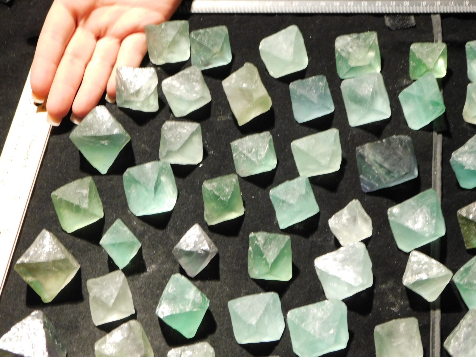 Over One Pound! or 500 Grams! Fluorescent FLUORITE Octahedron Crystals