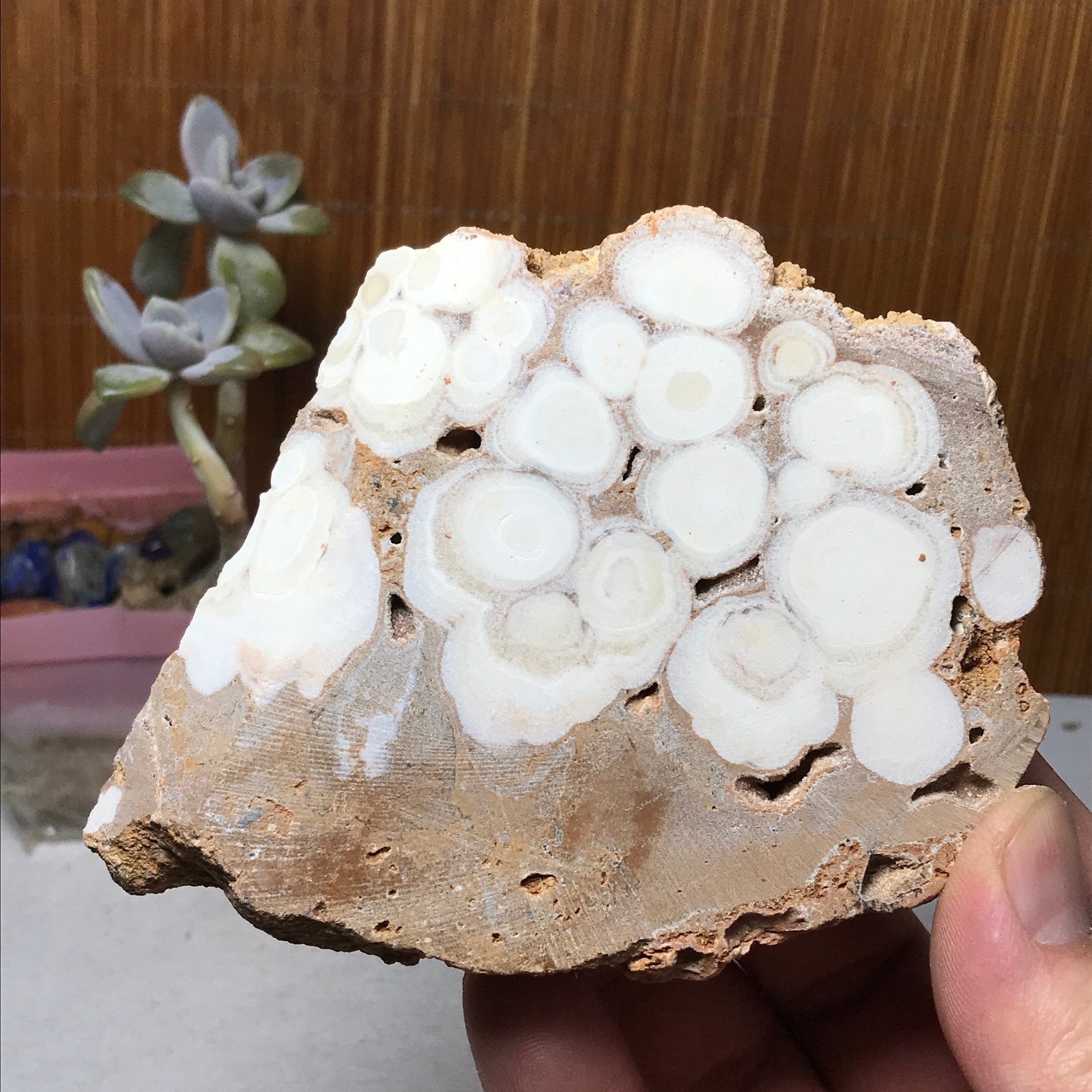 89-82-17mm Natural sakura slice Crystal gemstone Rough Specimen 233g A3301