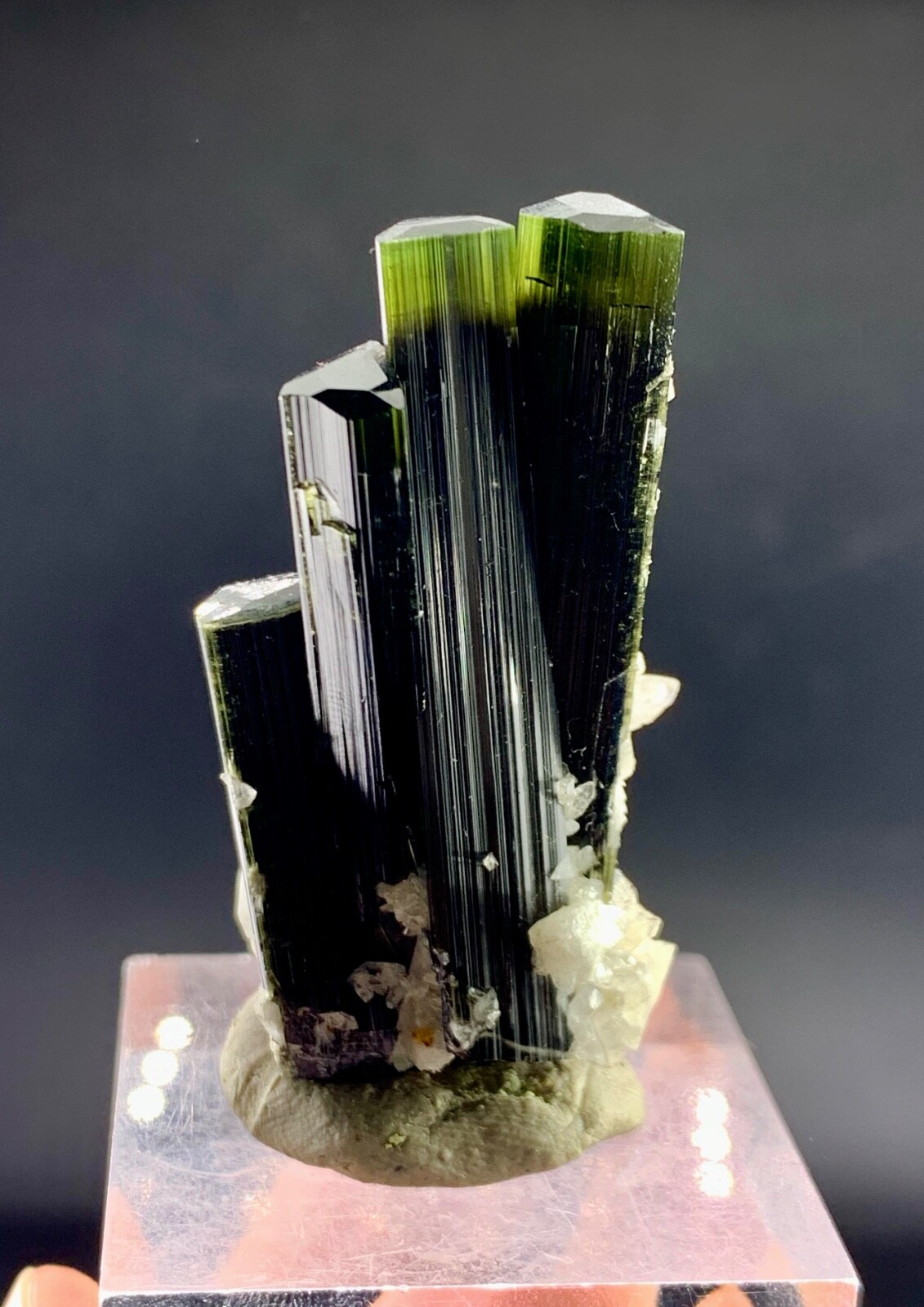 24 Gram Supper Fantastic Green Cap Tourmaline crystal penetrate in quartz beauty