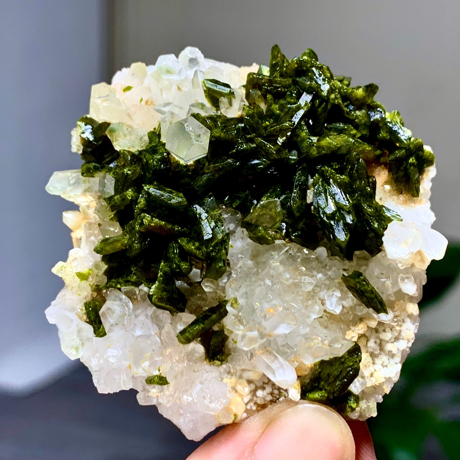46g Natural Garden quartz cluster specimen tourmaline mineral healing SiChuan