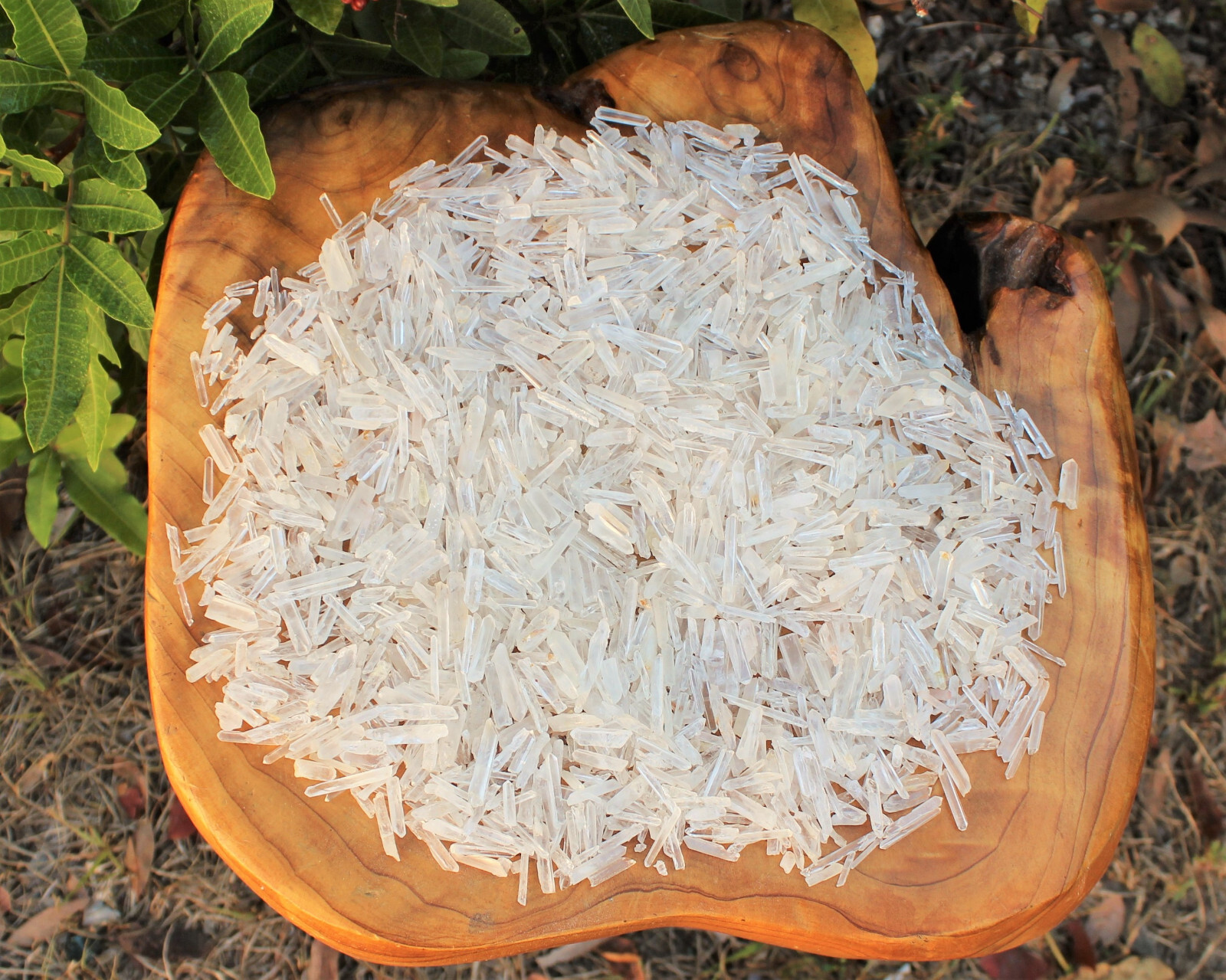 Tiny Natural Matchstick / Jewelry Quartz Crystal Points 50 Gram Lot (1.76 oz)