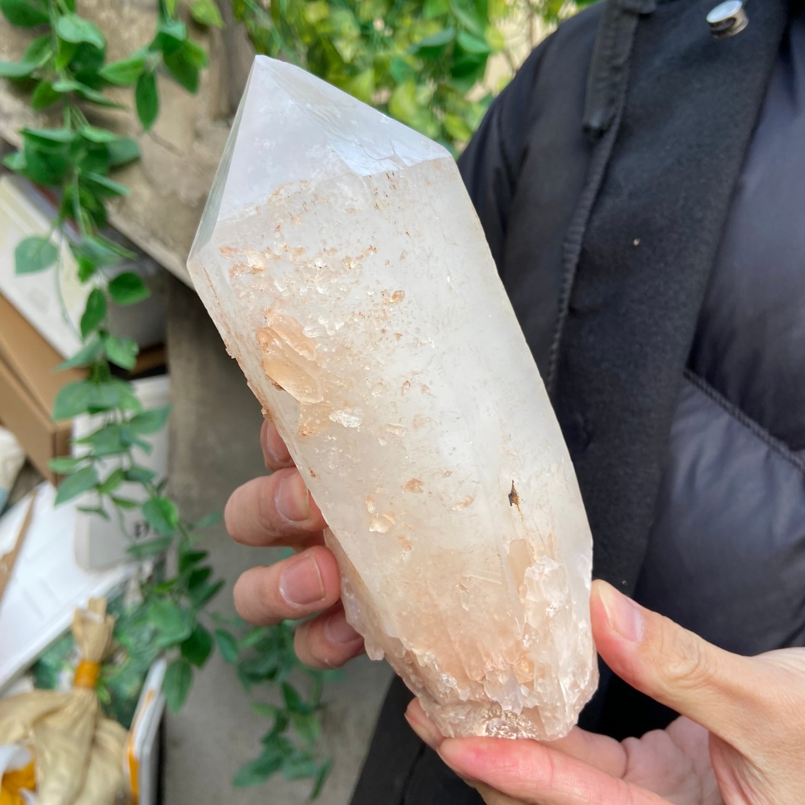 2.9lb Natural clear white crystal quartz point rough mineral specimen
