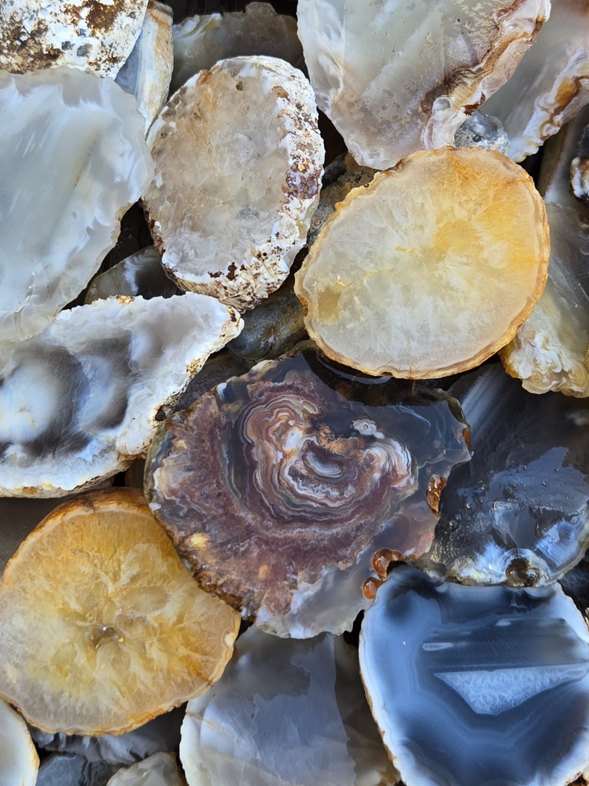 Oco Agate Geode Cut Halves and Slices – 1 Pound Lb – Solid Agate Tumbling Rough