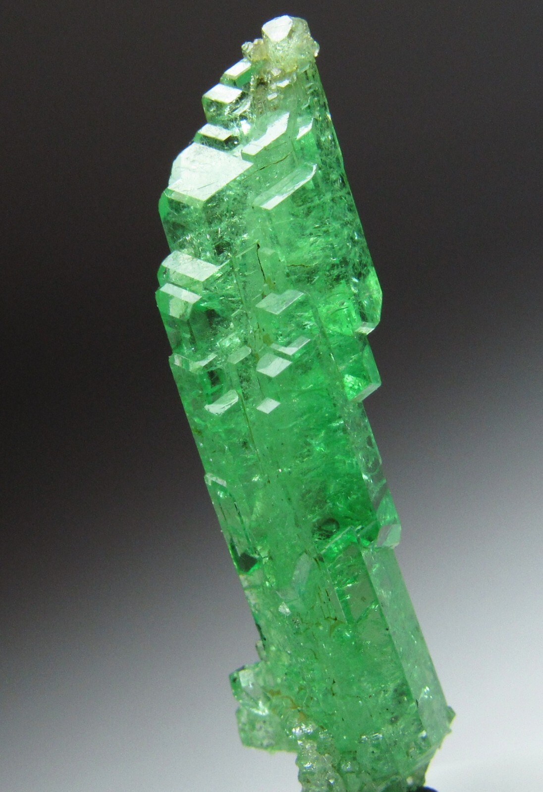 UNSURPASSED ELITE LIGHTNING BOLT TSAVORITE GROSSULAR GARNET CRYSTAL!!! TANZANIA