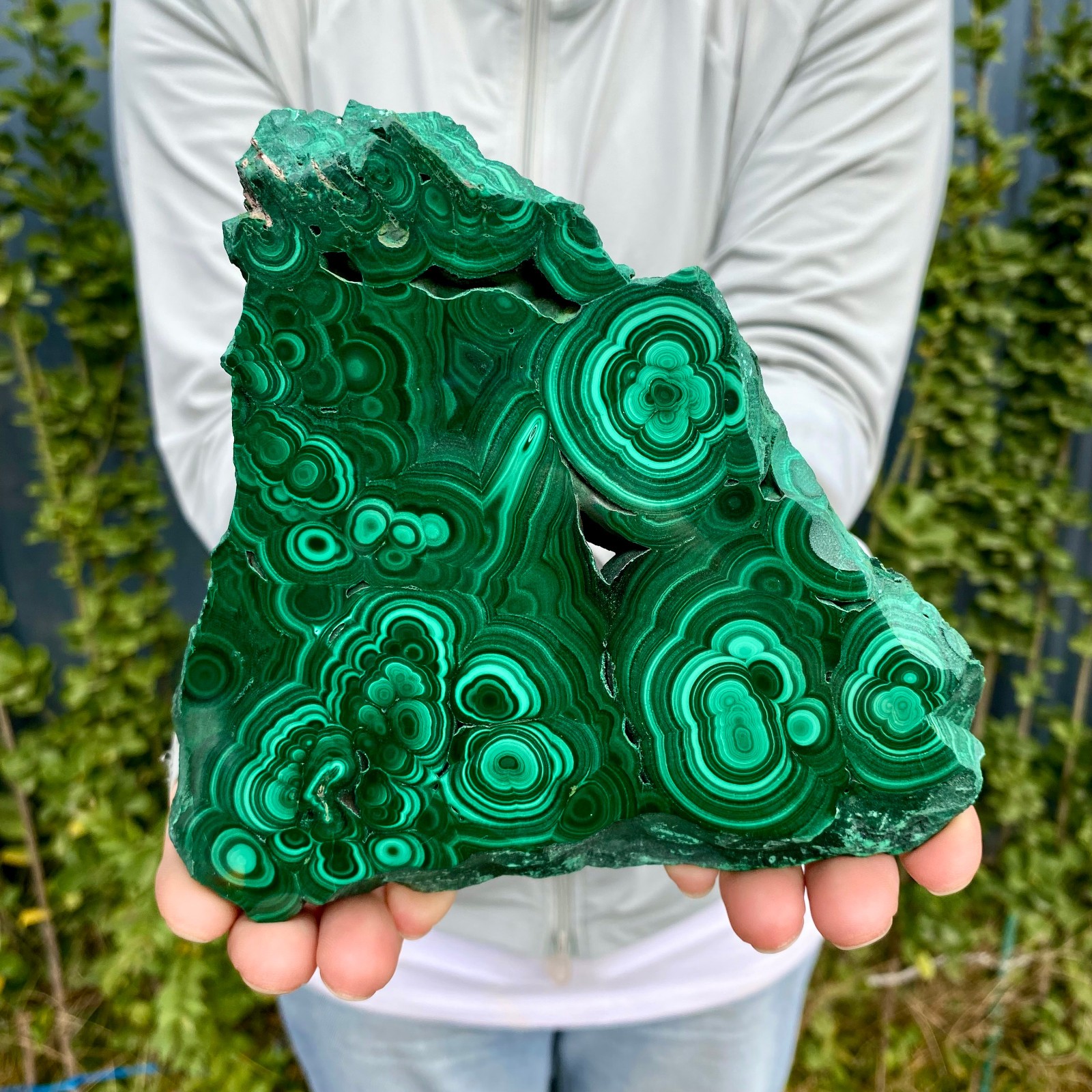 1.41LB Natural malachite slice quartz crystal luster mineral specimen