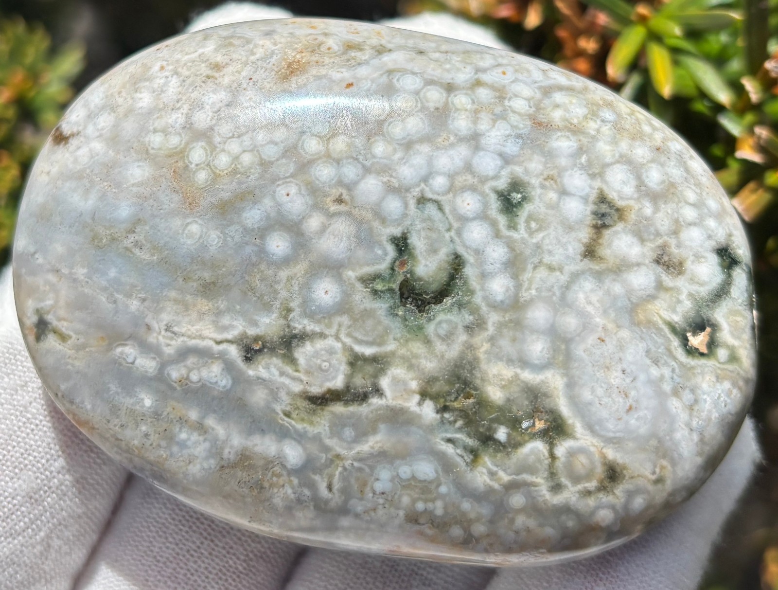USA SALE 204g LOT OCEAN JASPER OJ PALMSTONE PALM STONES PALM STONE RED VEINLESS