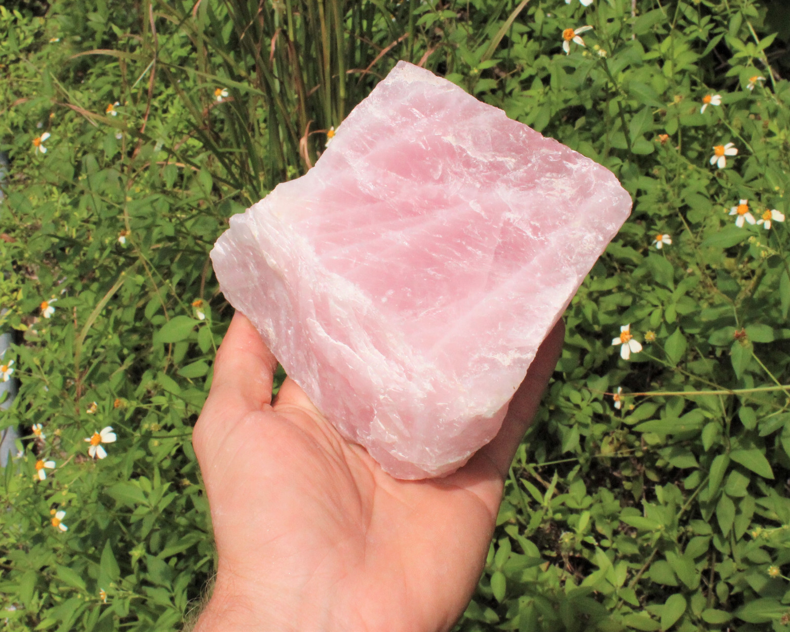 JUMBO Rose Quartz Raw Natural Crystal Specimen: 1 – 2 lb HUGE Chunk (Love Stone)