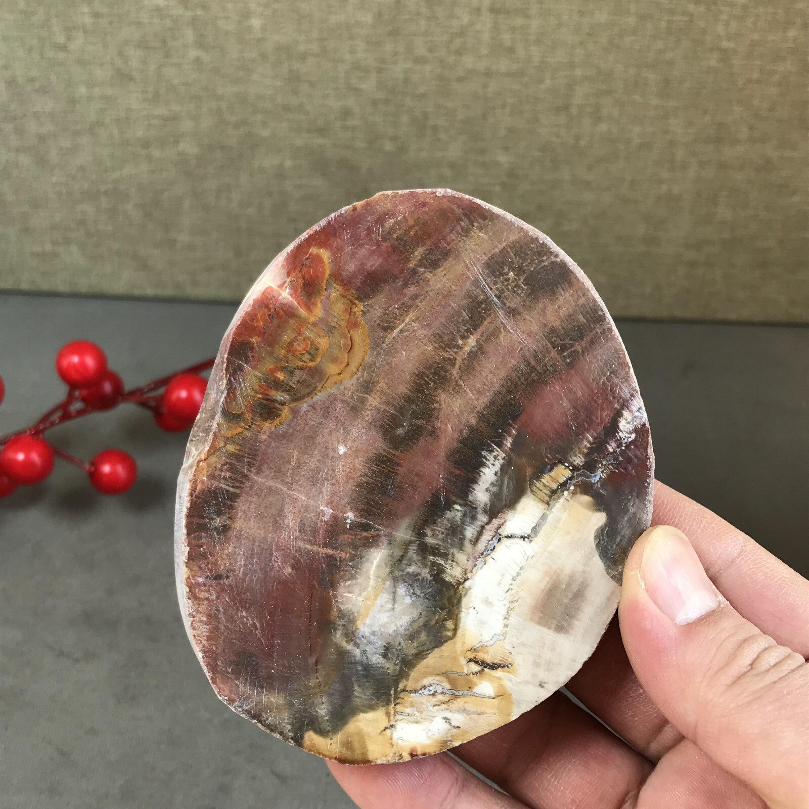 97mm natural Beautiful Petrified Wood Crystal Slice mineral specimen 247g A5426