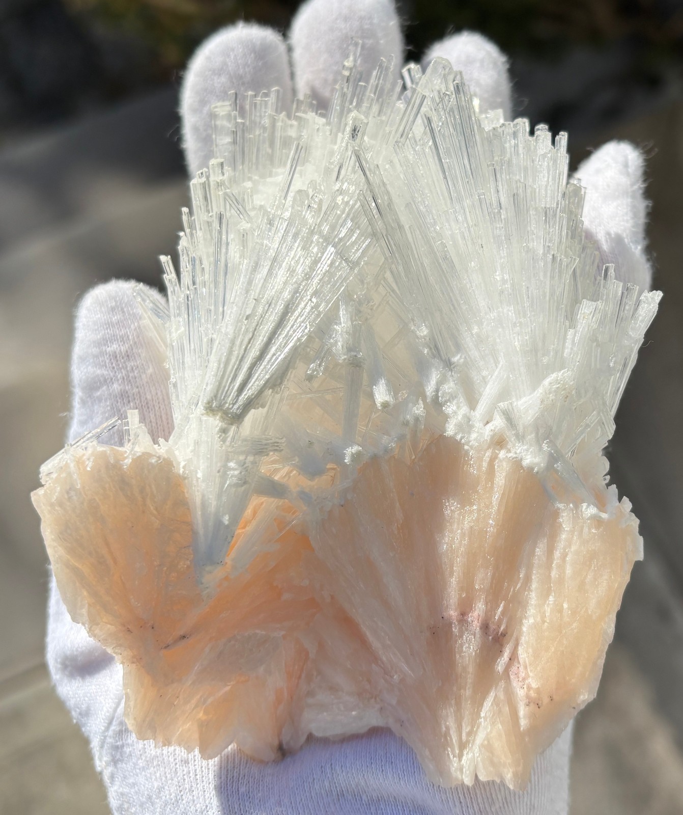 USA SALE 262g 4.3″ x 3.3″ LARGE SCOLECITE STILBITE SPECIMEN Fan/Blades/Spray