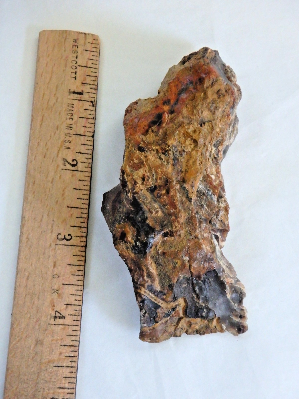 Fossil Petrified Wood 137.7 grams Polished top Raw bottom Old Stock