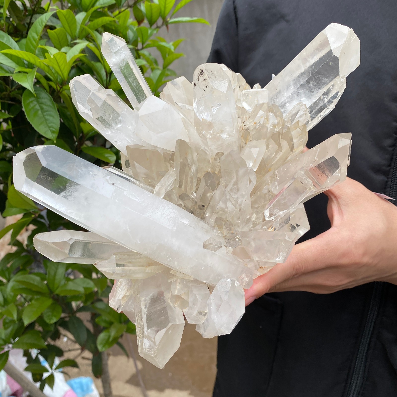 7.4lb Natural Clear White Quartz Crystal Cluster Rough Healing Specimen