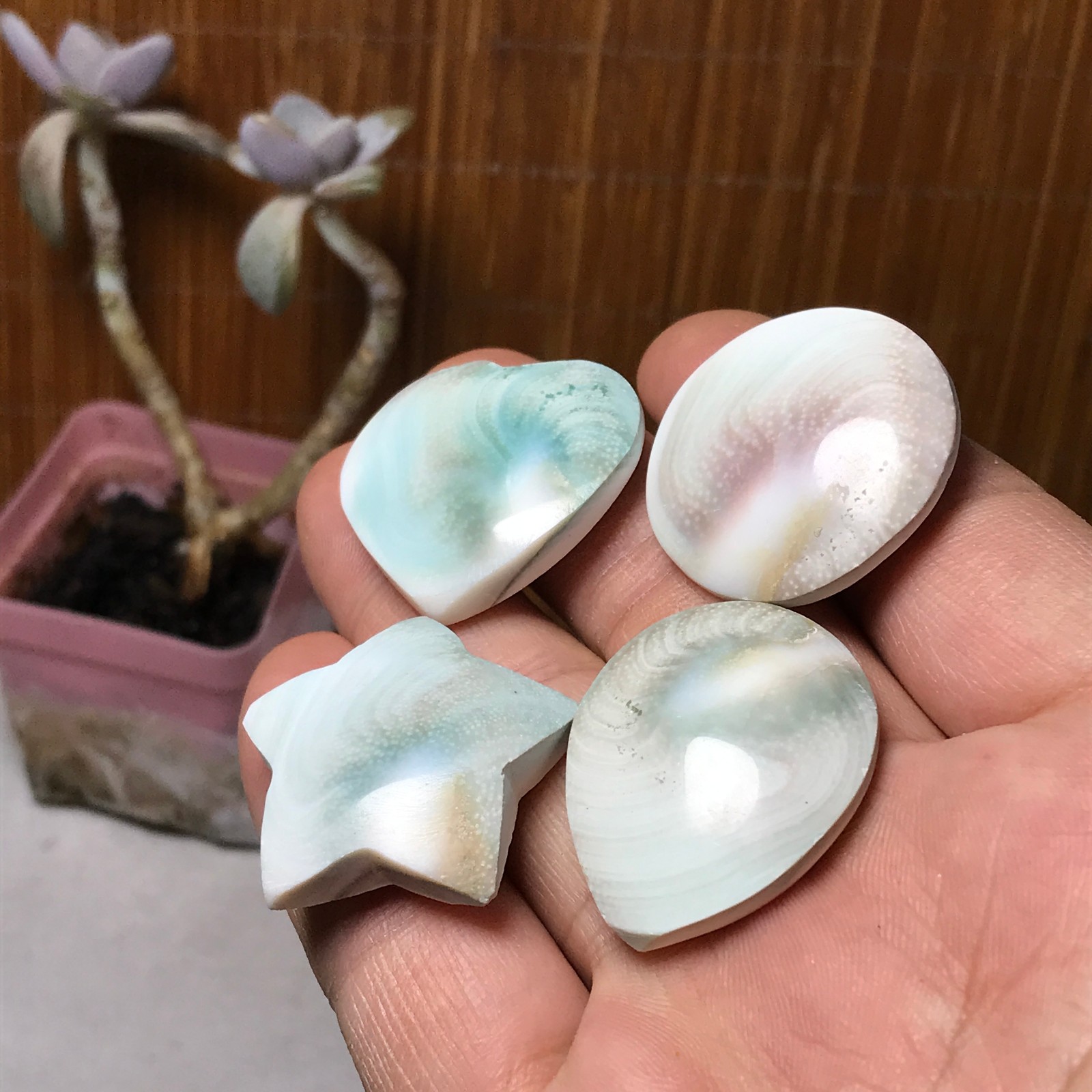 4Pcs Natural sun shell star Heart Reiki Shiva Eye ocean quartz carve A3340
