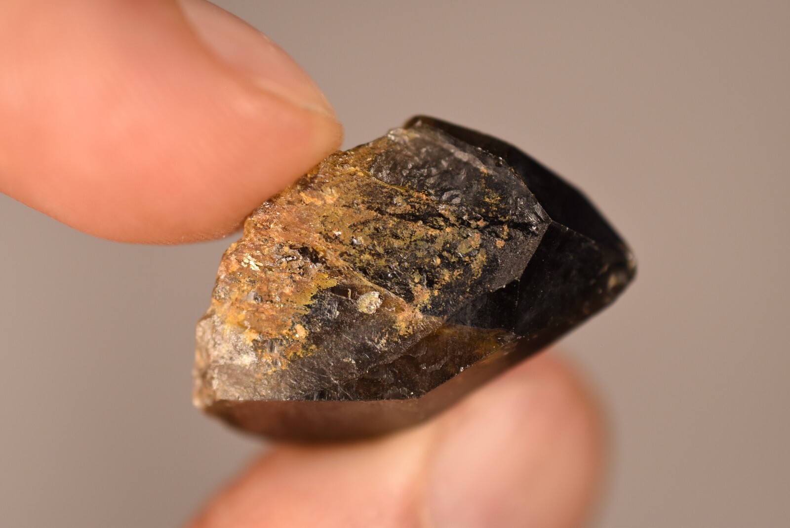 3 *AUSTRALIAN* SMOKEY QUARTZ 2-4cm 19g Natural Crystal Smoky New England NSW