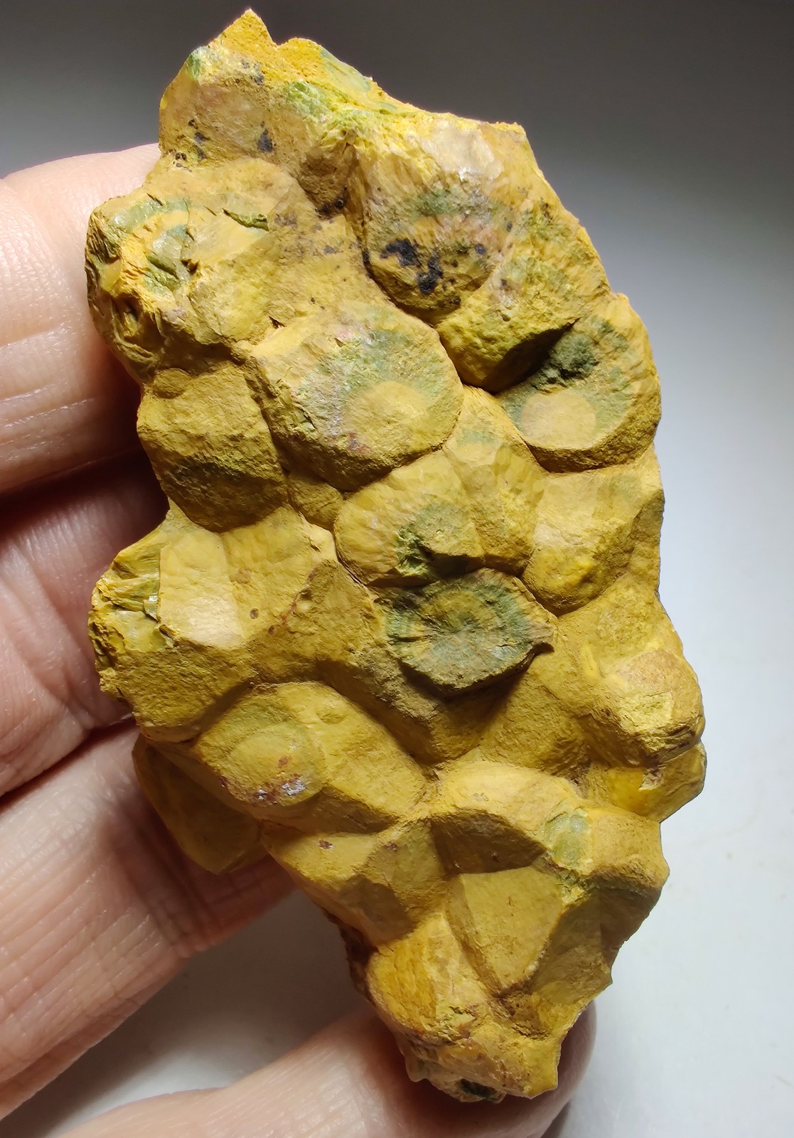 Ocean Jasper with very unique form. Kabamby, Madagascar. 79 grams.