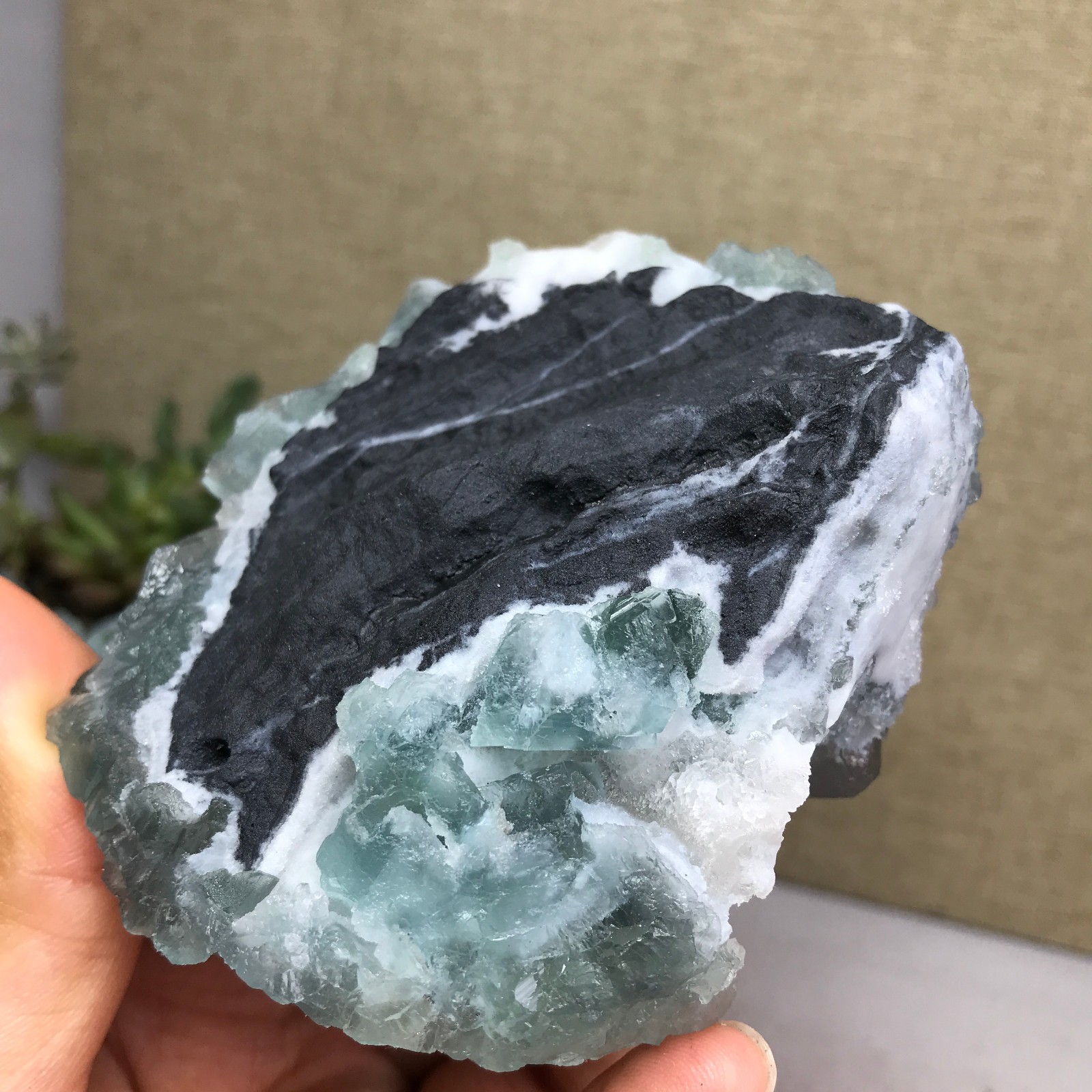 271g NATURAL Green Cubic FLUORITE paragenesis Crystal Cluster Specimen A4776