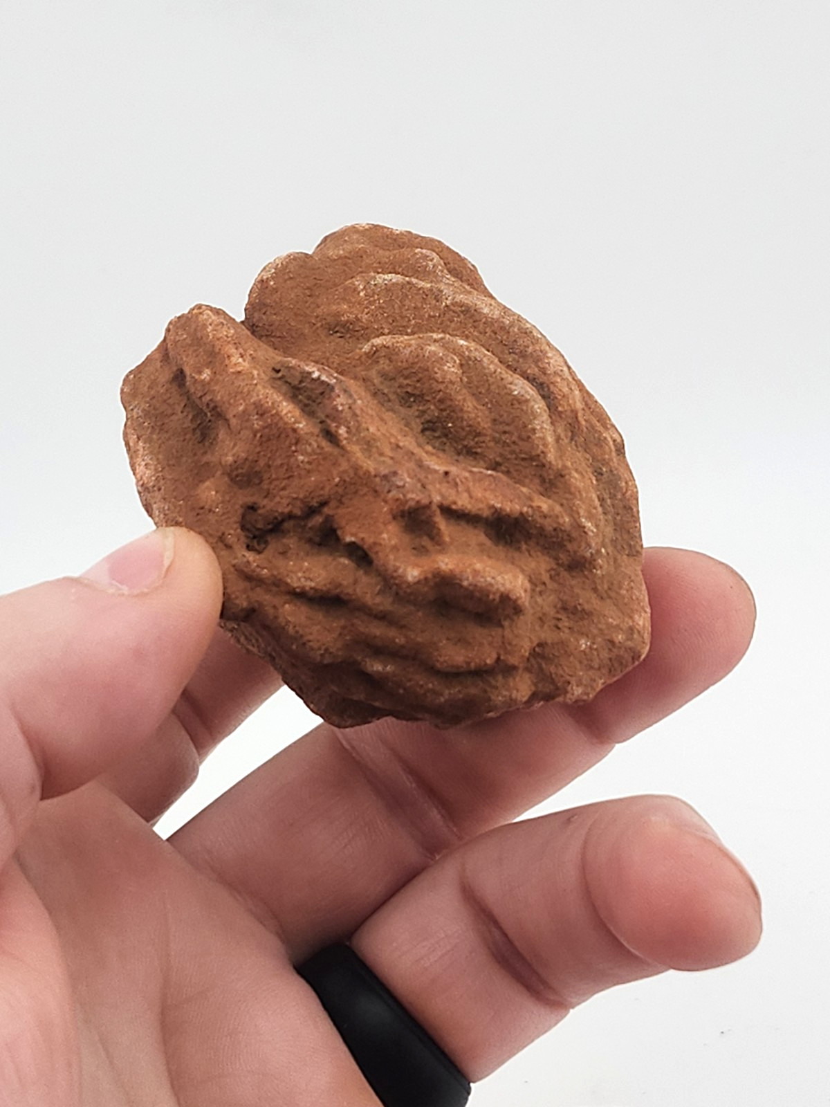 Oklahoma Rose Rock Cluster Barite Old Stock Highly Detailed 190 Grams