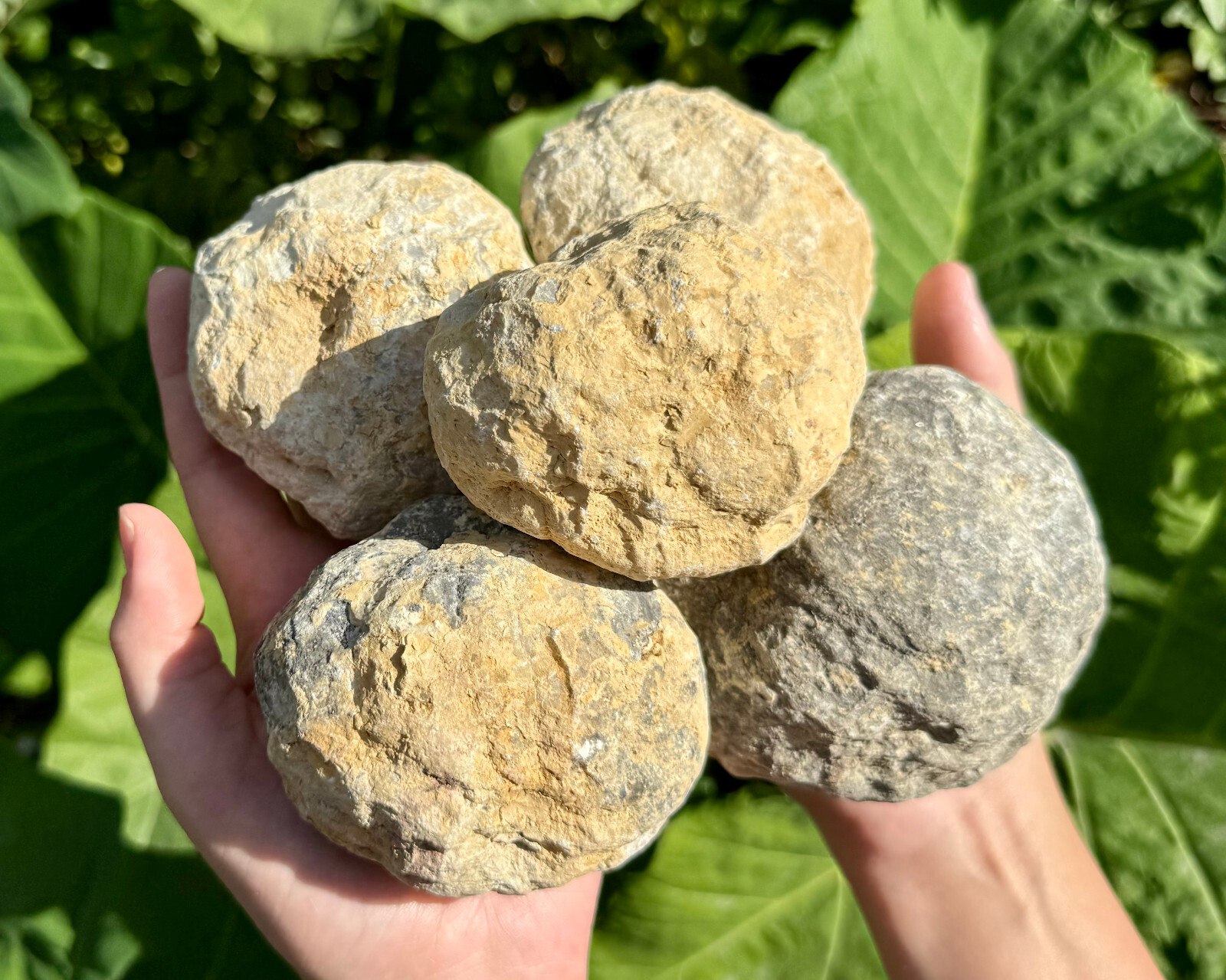 CRAZY CHEAP Break Your Own Geodes – 20 lb Box JUMBO Unopened Moroccan Crystals