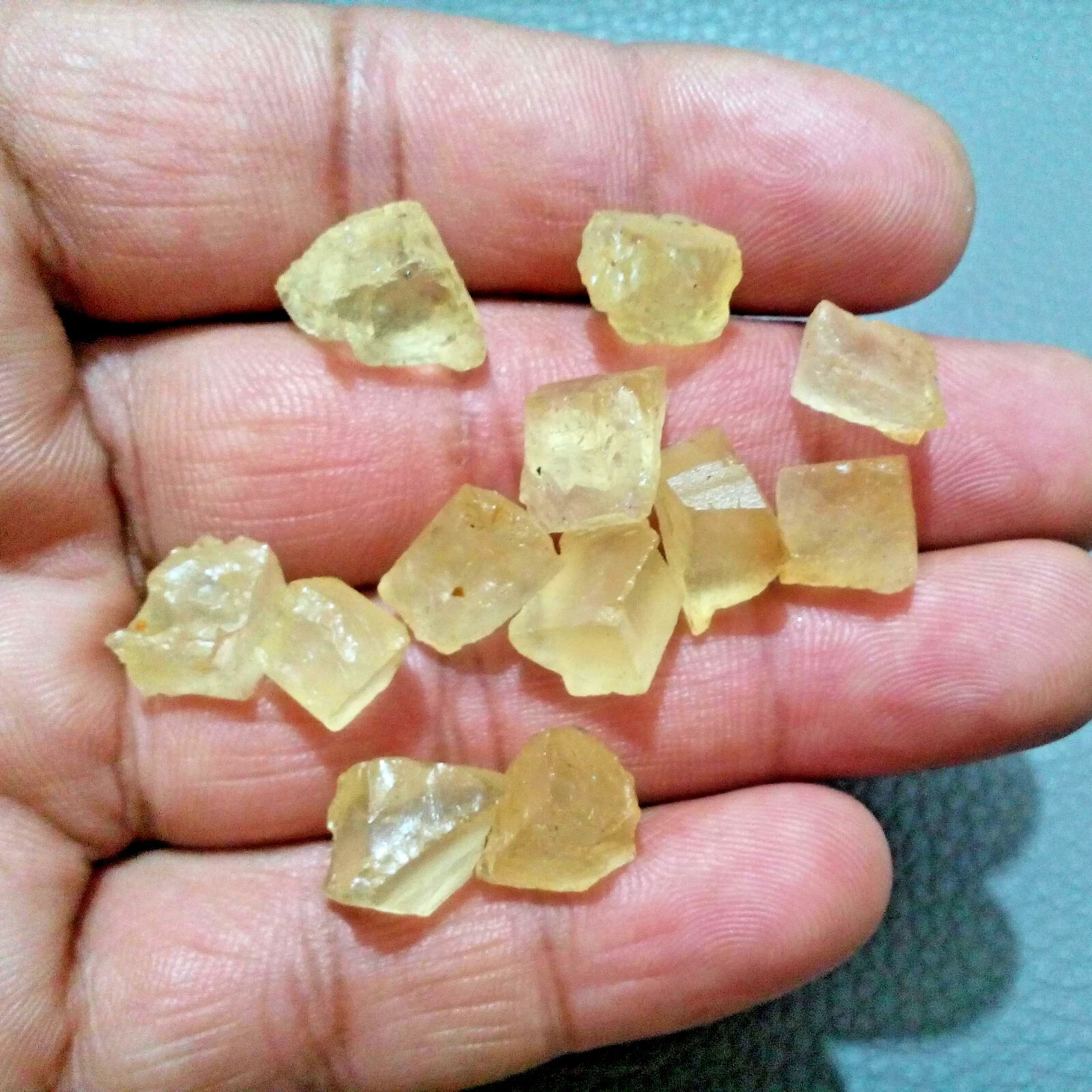 Glowing Yellow Scapolite Rough 12 Pcs Lot 66.65 Crt Loose Gemstone For Jewlery
