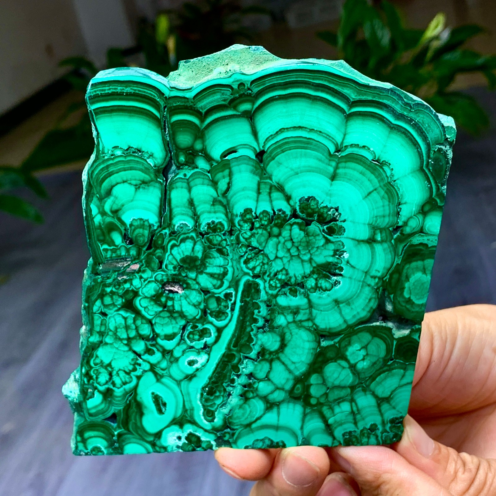 290G Natural glossy Malachite transparent cluster rough mineral sample