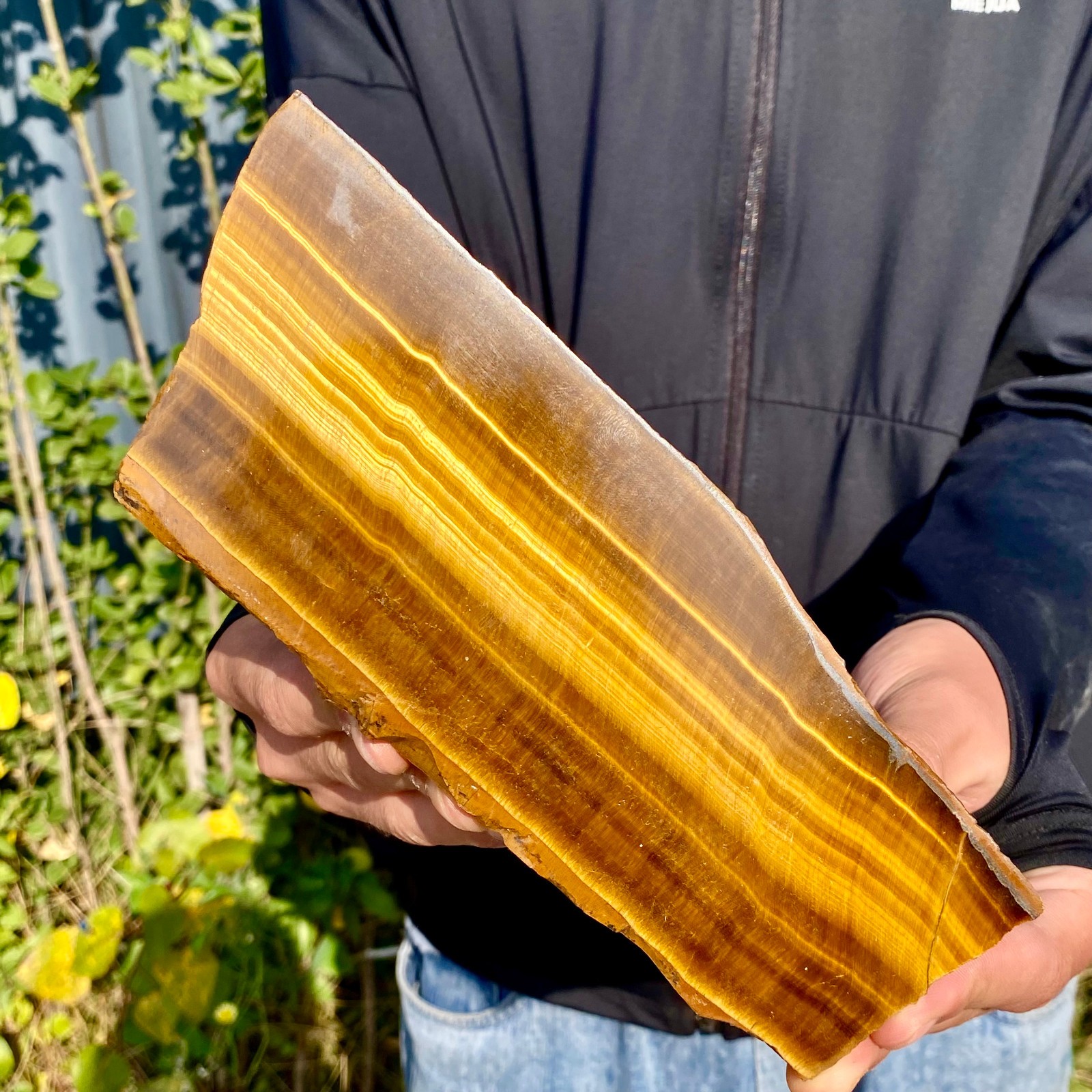 1.3LB Natural Tiger Eye Stone slice Quartz Crystal Polished Specimen healing