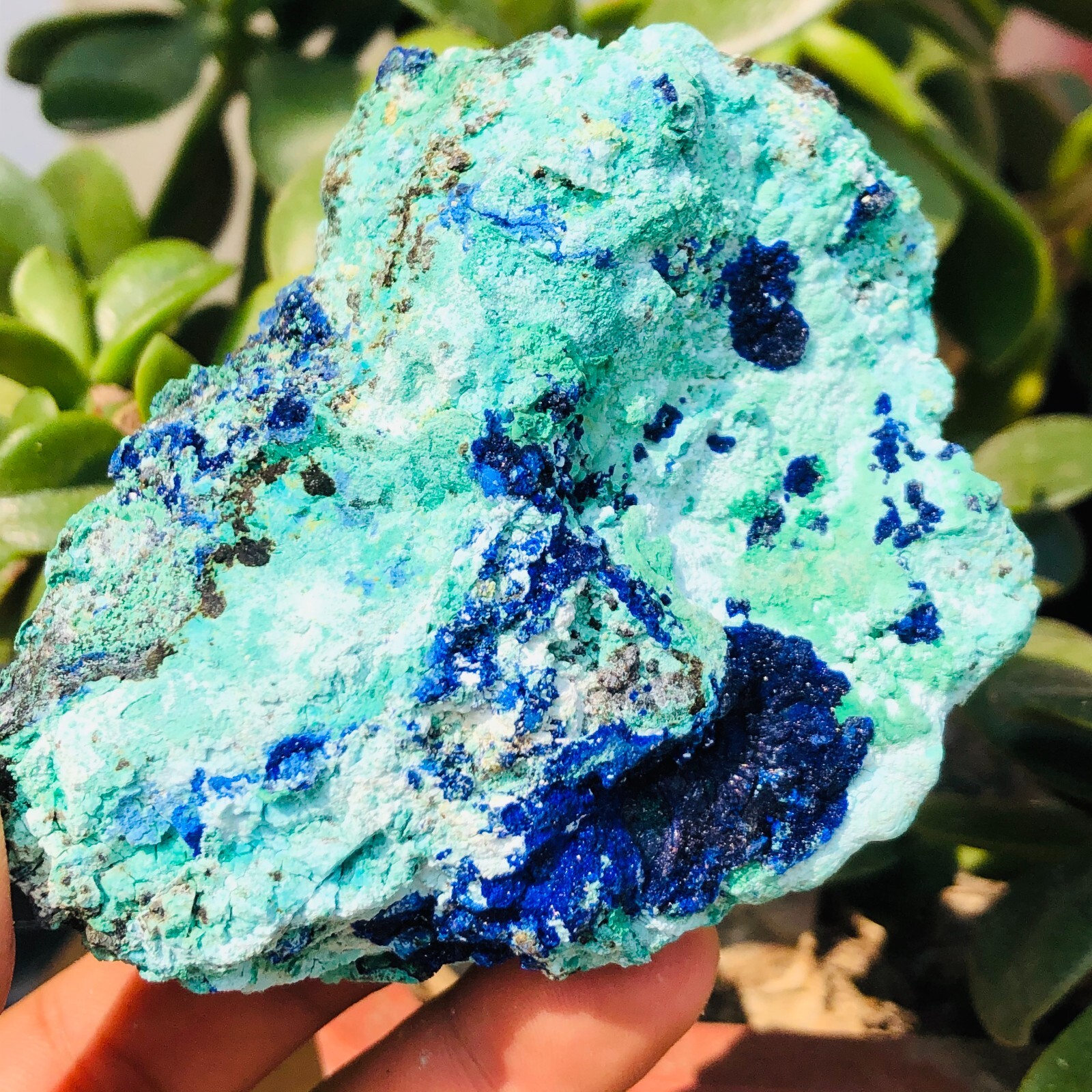 300g BEST NATURAL Azurite/Malachite crystal minerals specimens