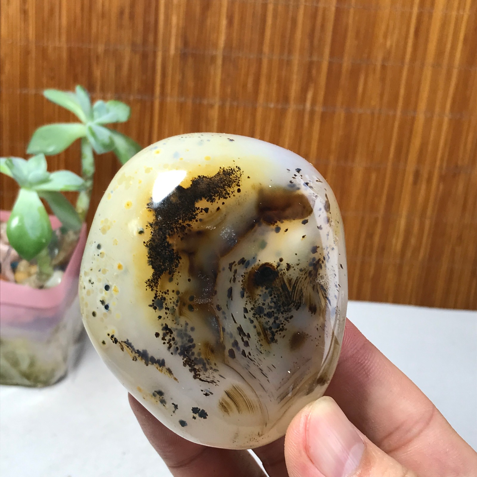 71mm Natural aquatic plants agate pretty Crystal specimens 210g A1637