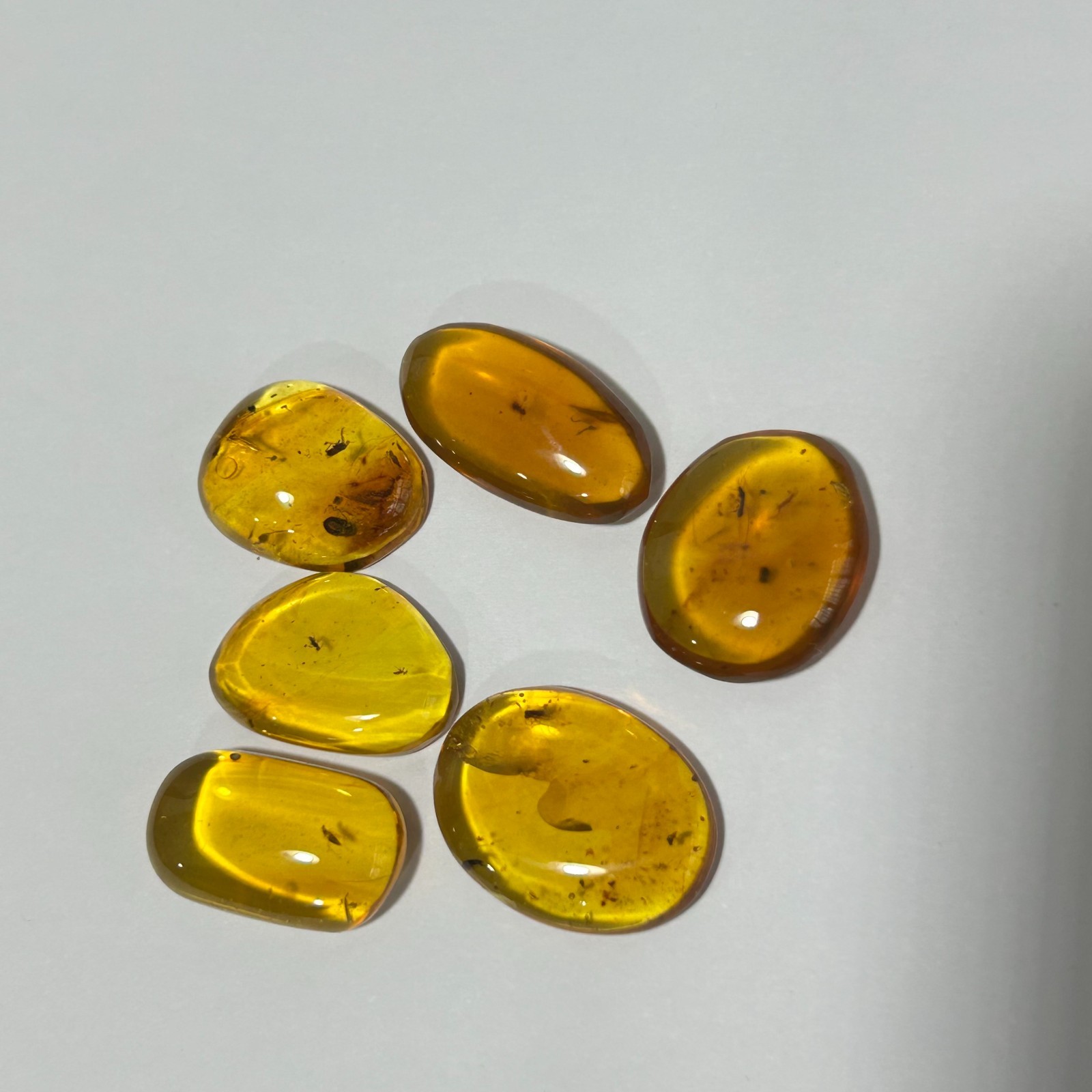 6PCS MINI GENUINE Fossil Insect Inclusion in Burmese amber BALTIC AMBER