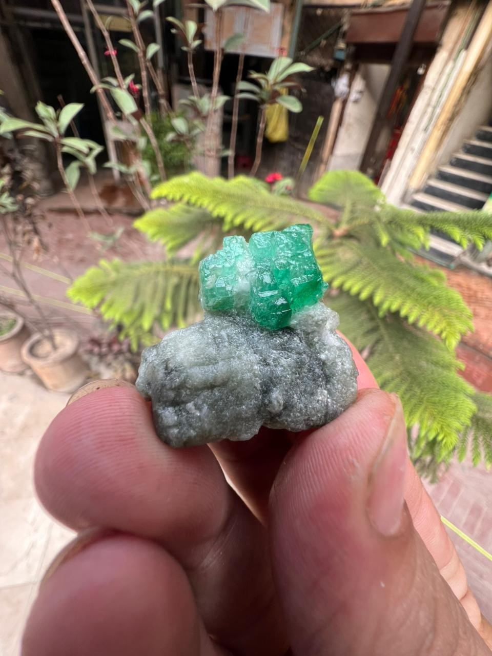 15Gm | Natural Emerald Crystal Bunch In Matrix Specimen l Swat, Pakistan.