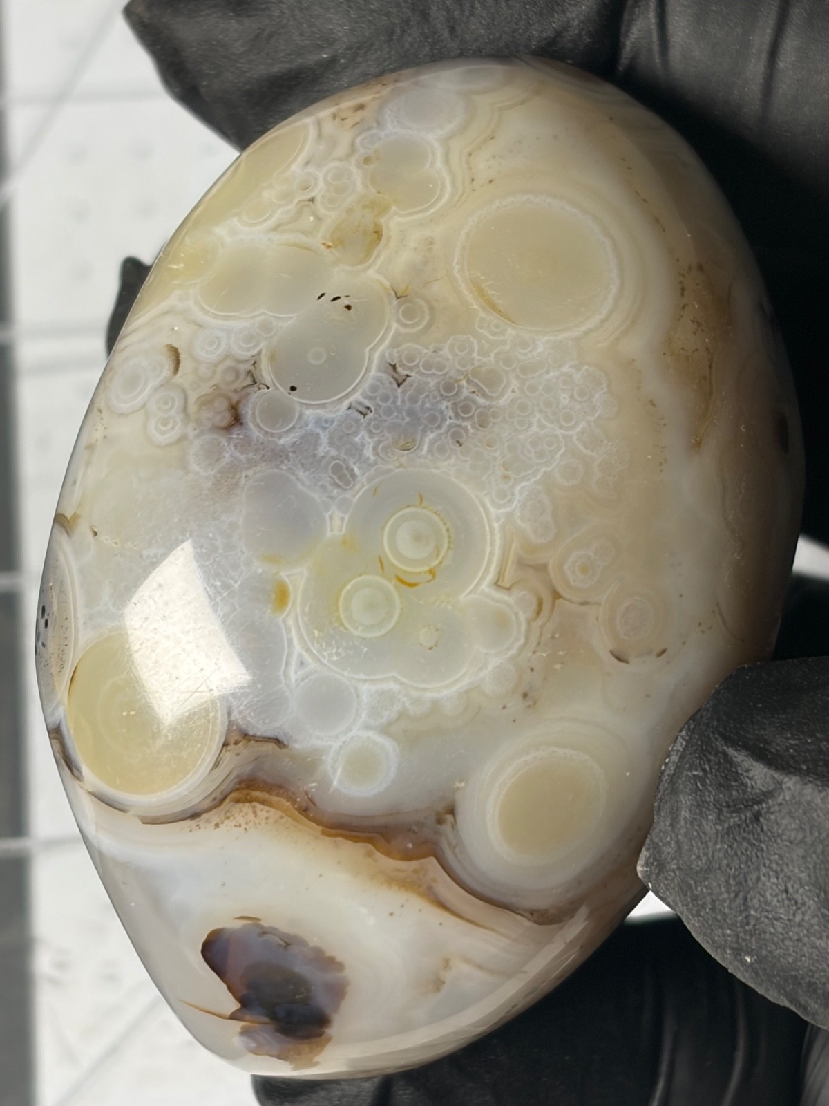 Excellent Agate Palm Stone Dendritic Orbs Banding