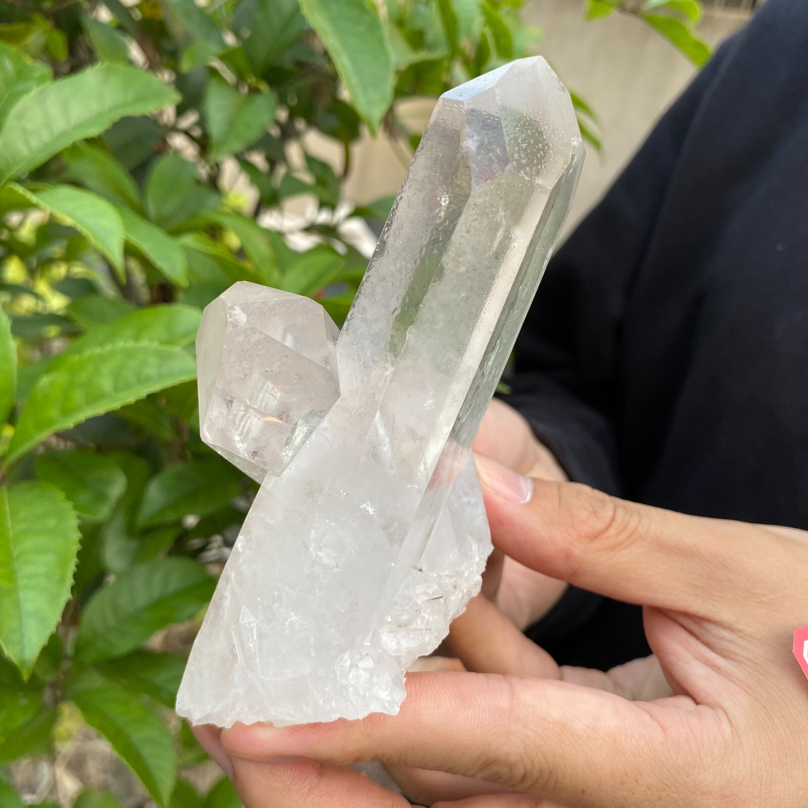 0.7lb Natural Clear White quart Crystal Cluster Raw Healing Specimen