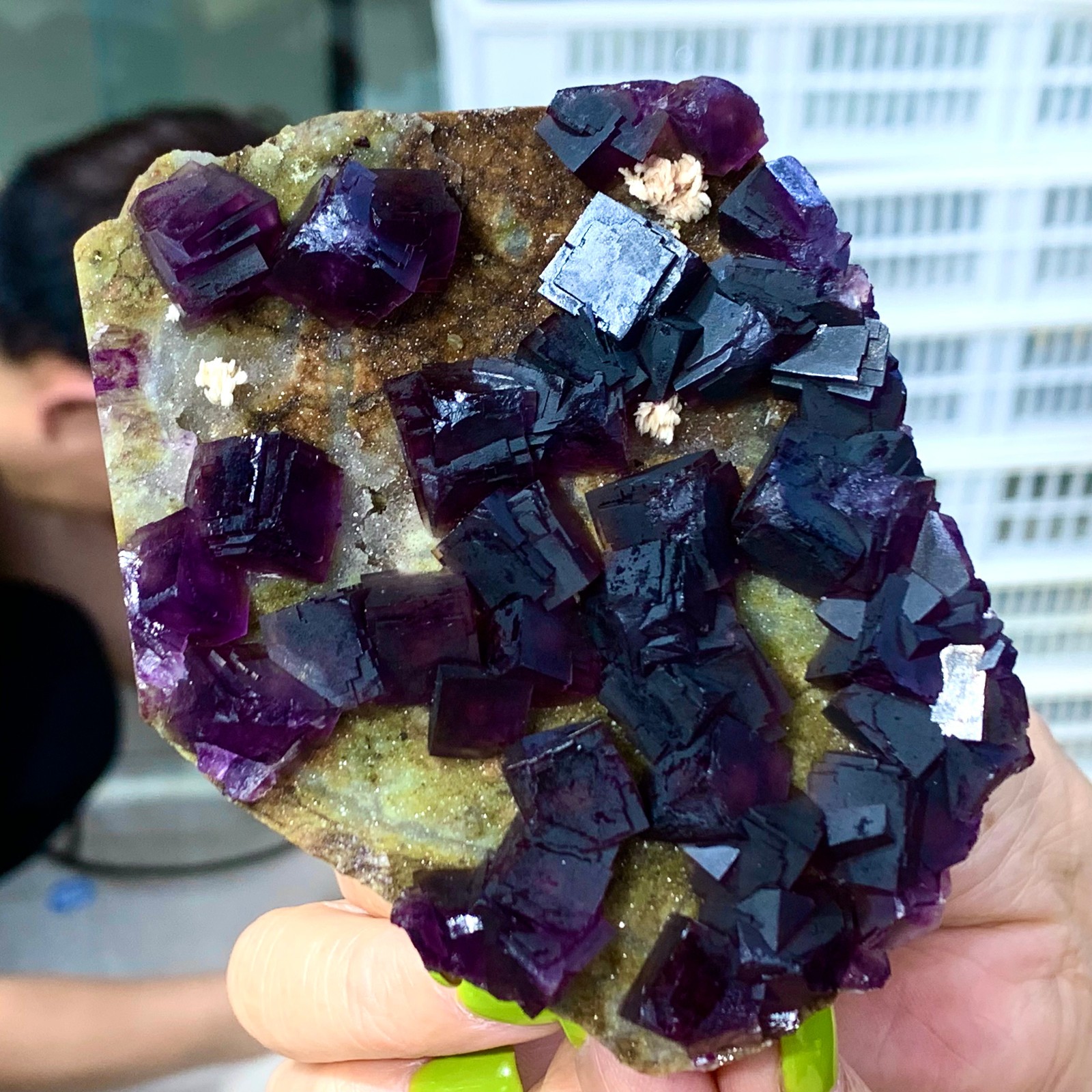 331G Rare Purple cubic fluorite mineral crystal sample/Zhejiang