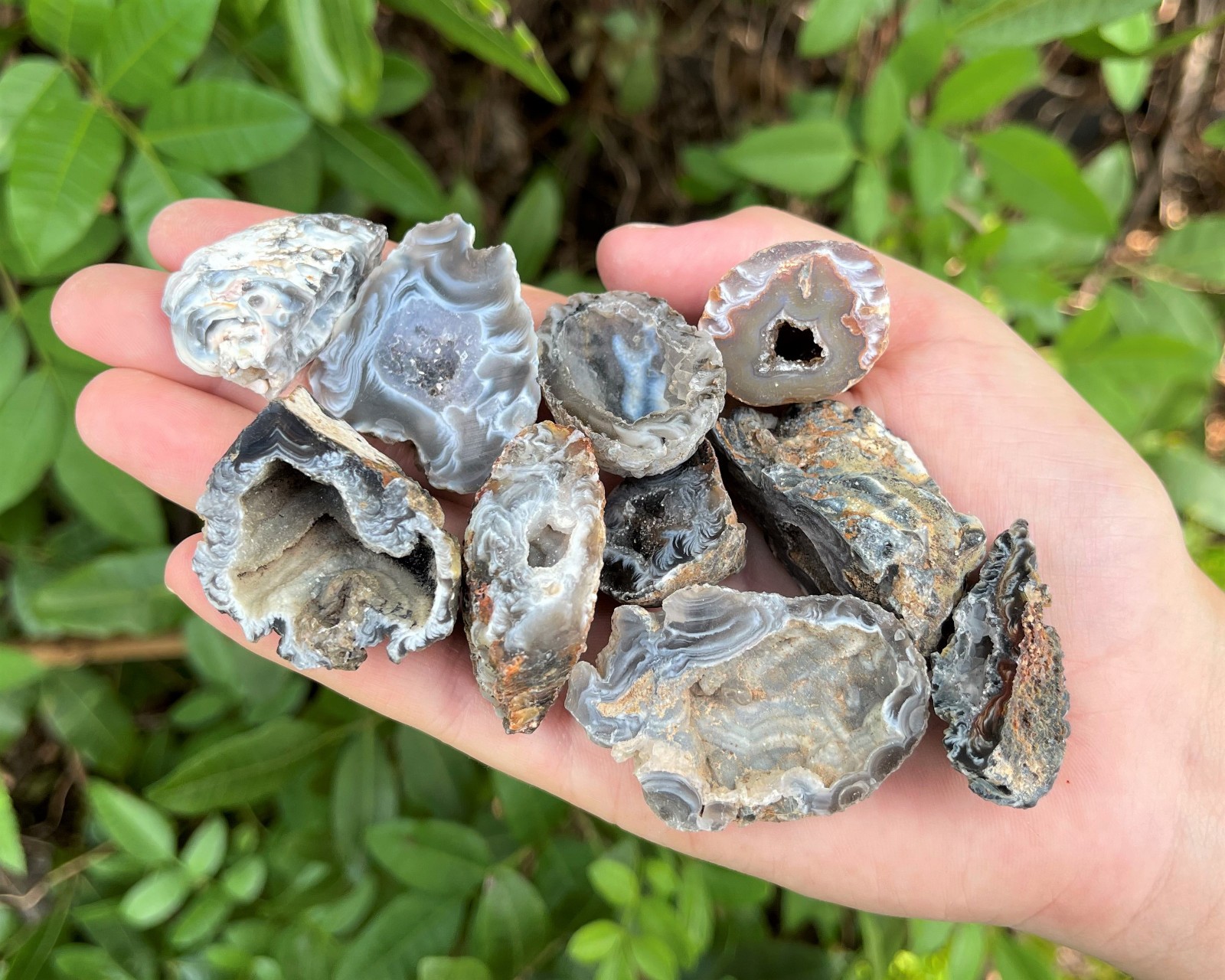 Oco Agate Geodes 1/2 lb Box Lot – ‘B’ Grade Natural Crystal Agate Druzy Halves