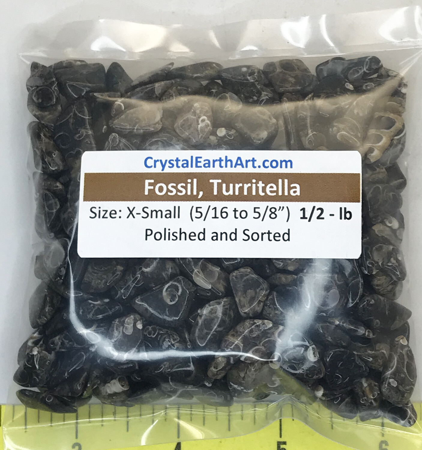 FOSSIL TURRITELLA AGATE X-SMALL ( 5/16″ to 5/8″ ) polished stones. 1/2 lb